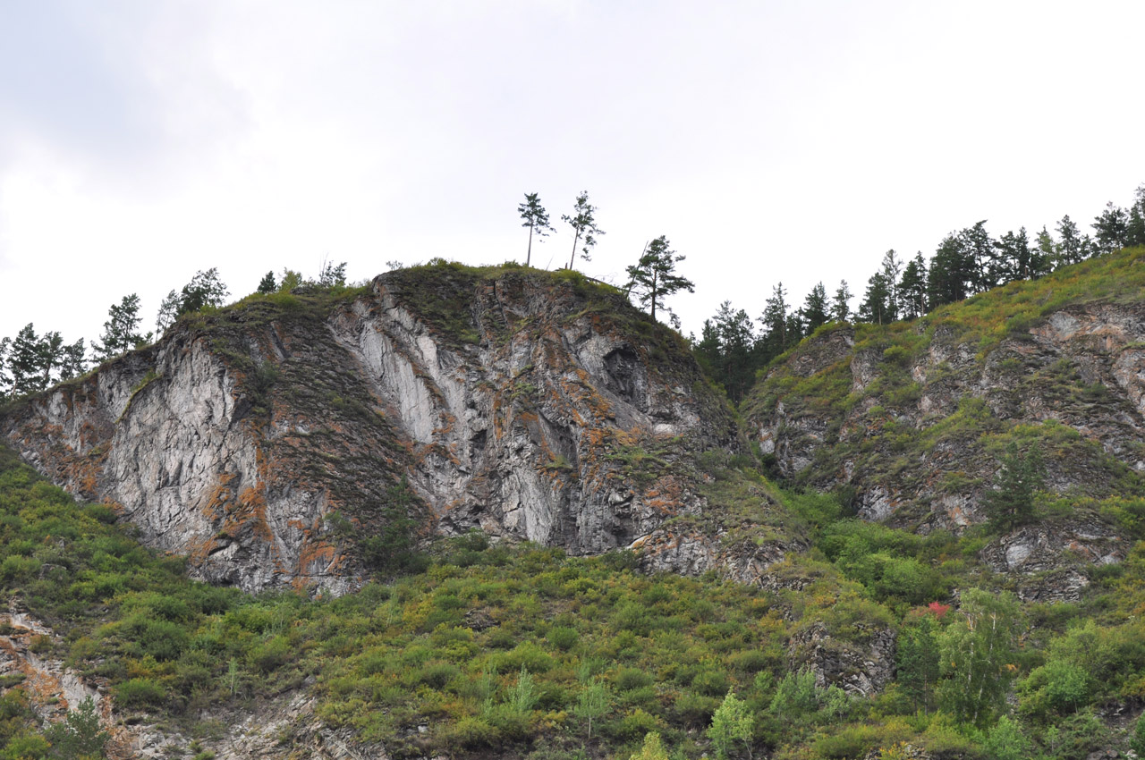 mountain trees rock free photo