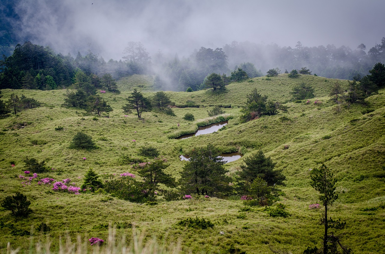 highest road in taiwan hehuanshan mountain free photo