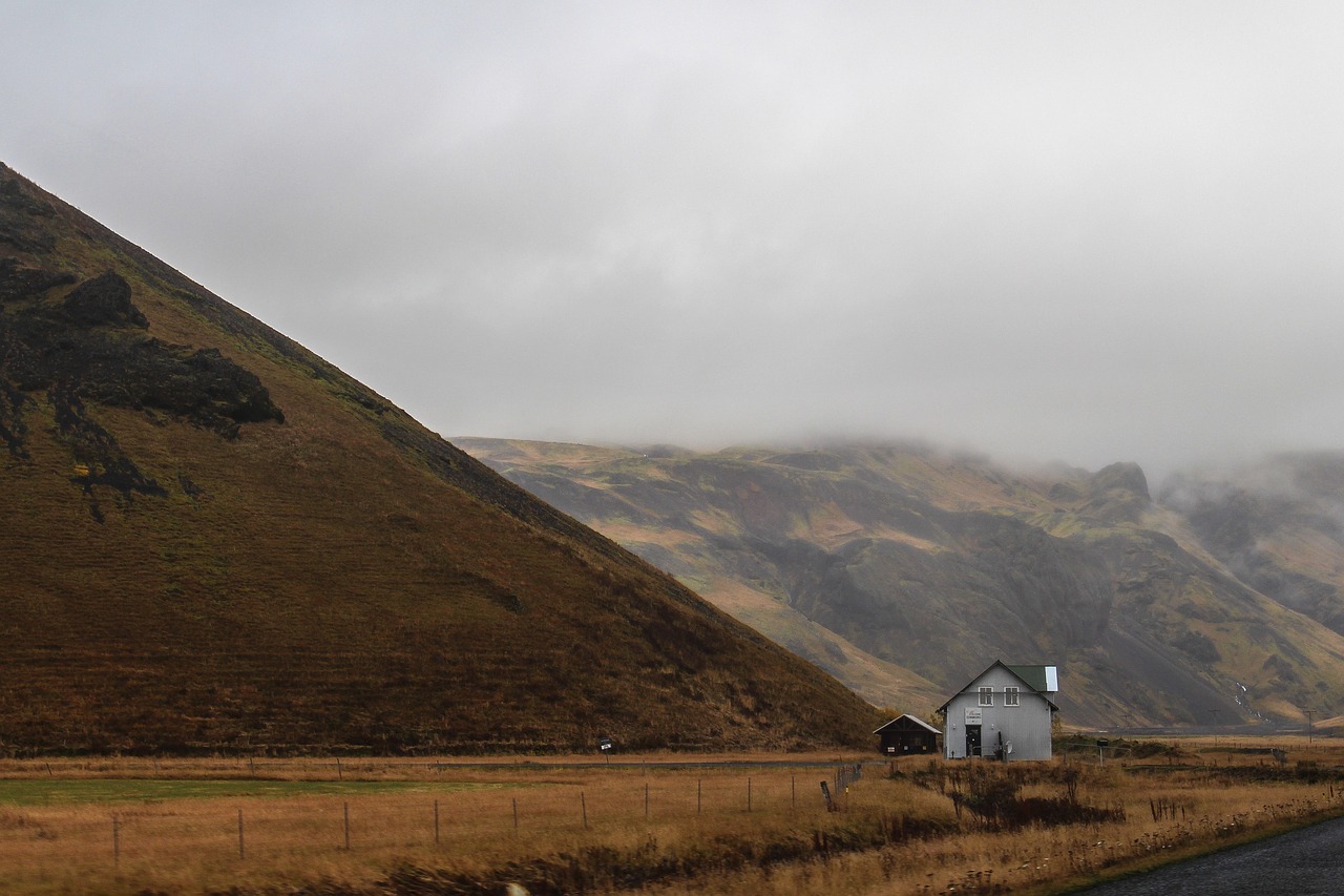 highland trees plant free photo