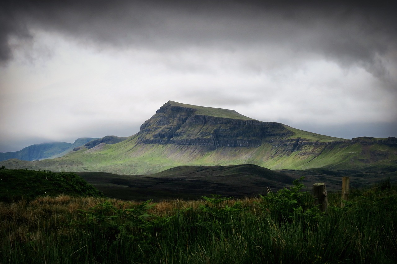 highland trees plant free photo