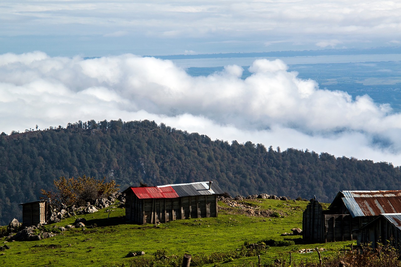 highland mountain green free photo