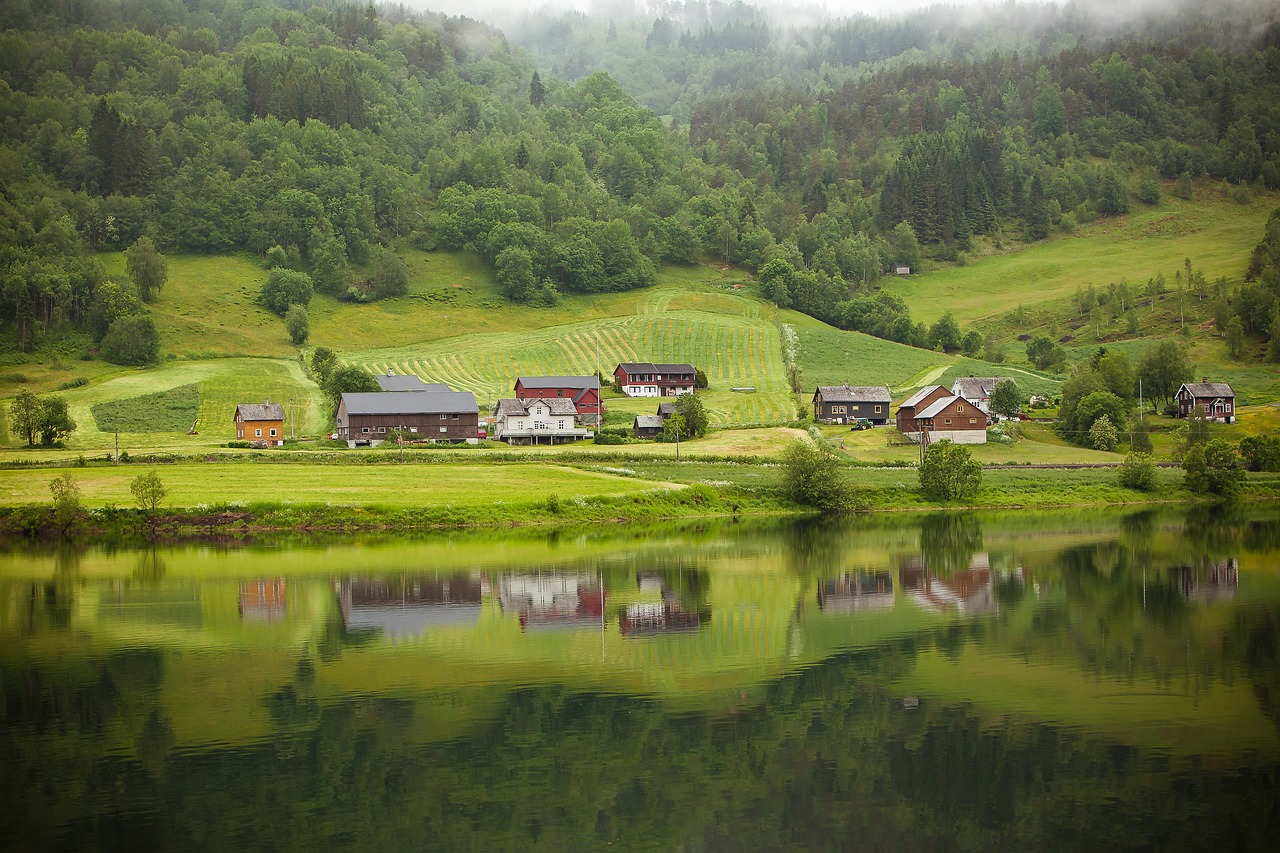 highland green grass free photo