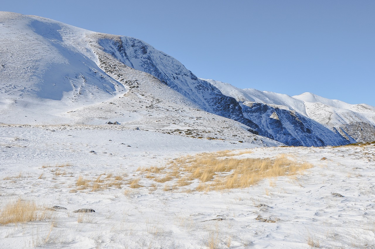 highland mountain grass free photo