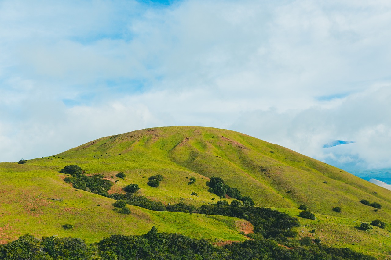 highland grassland green free photo