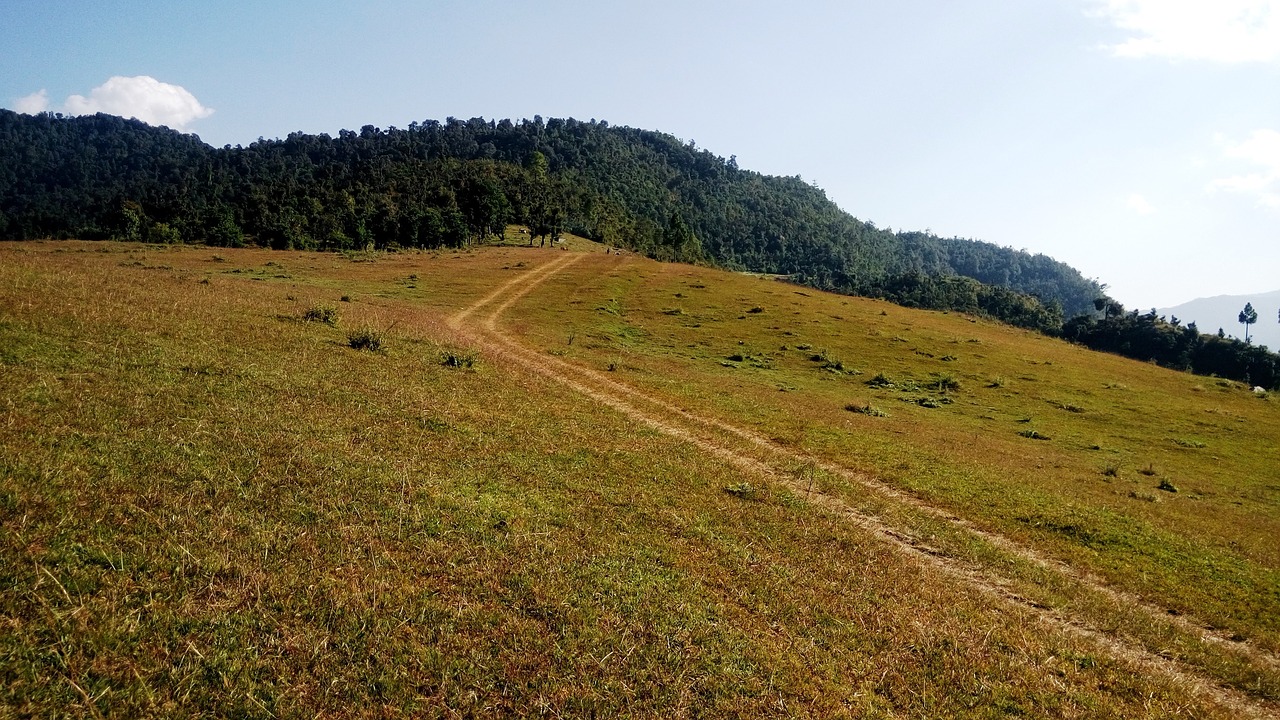 highland himalayan grassland free photo