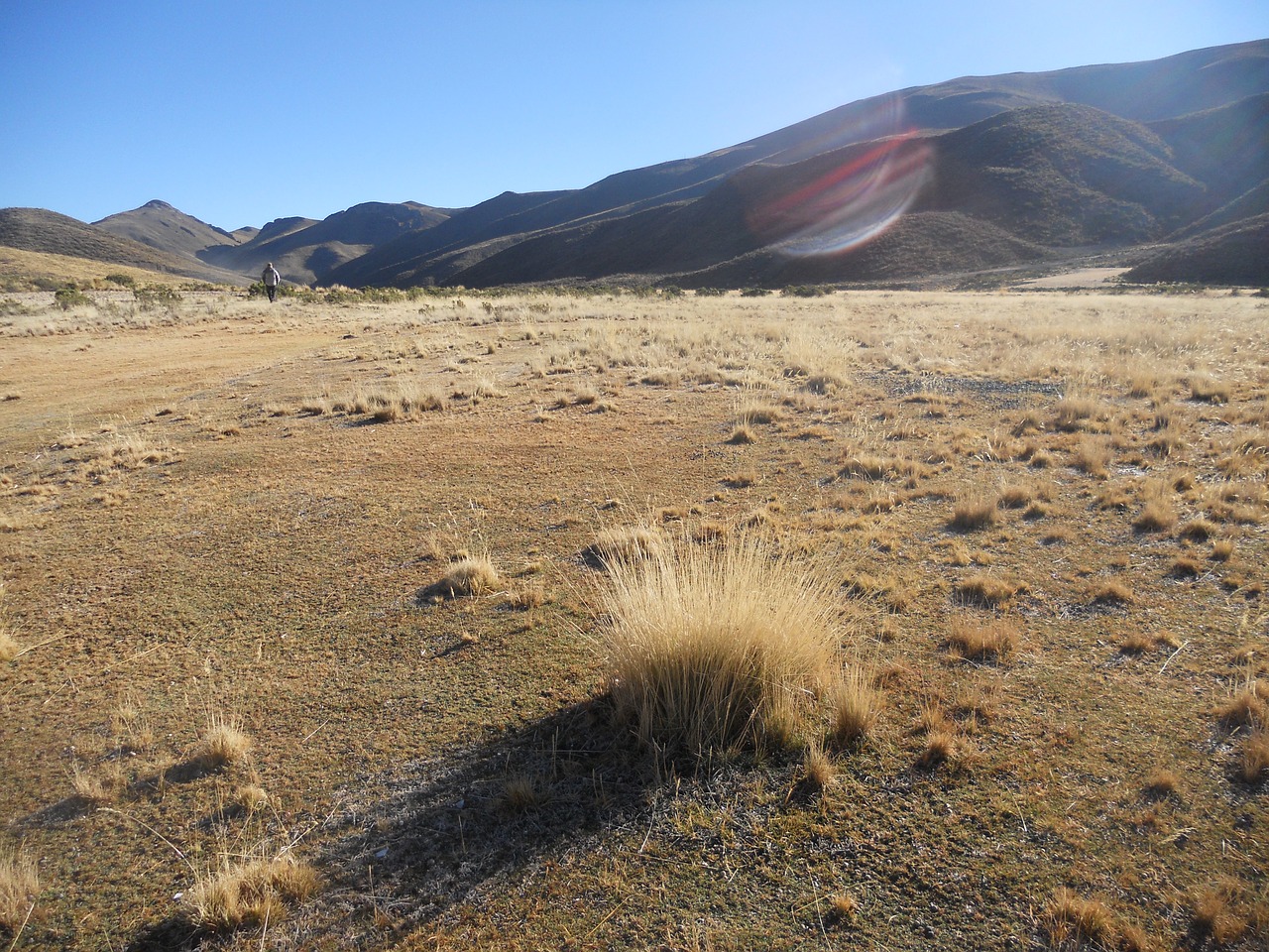 highlands bolivia brava straw free photo