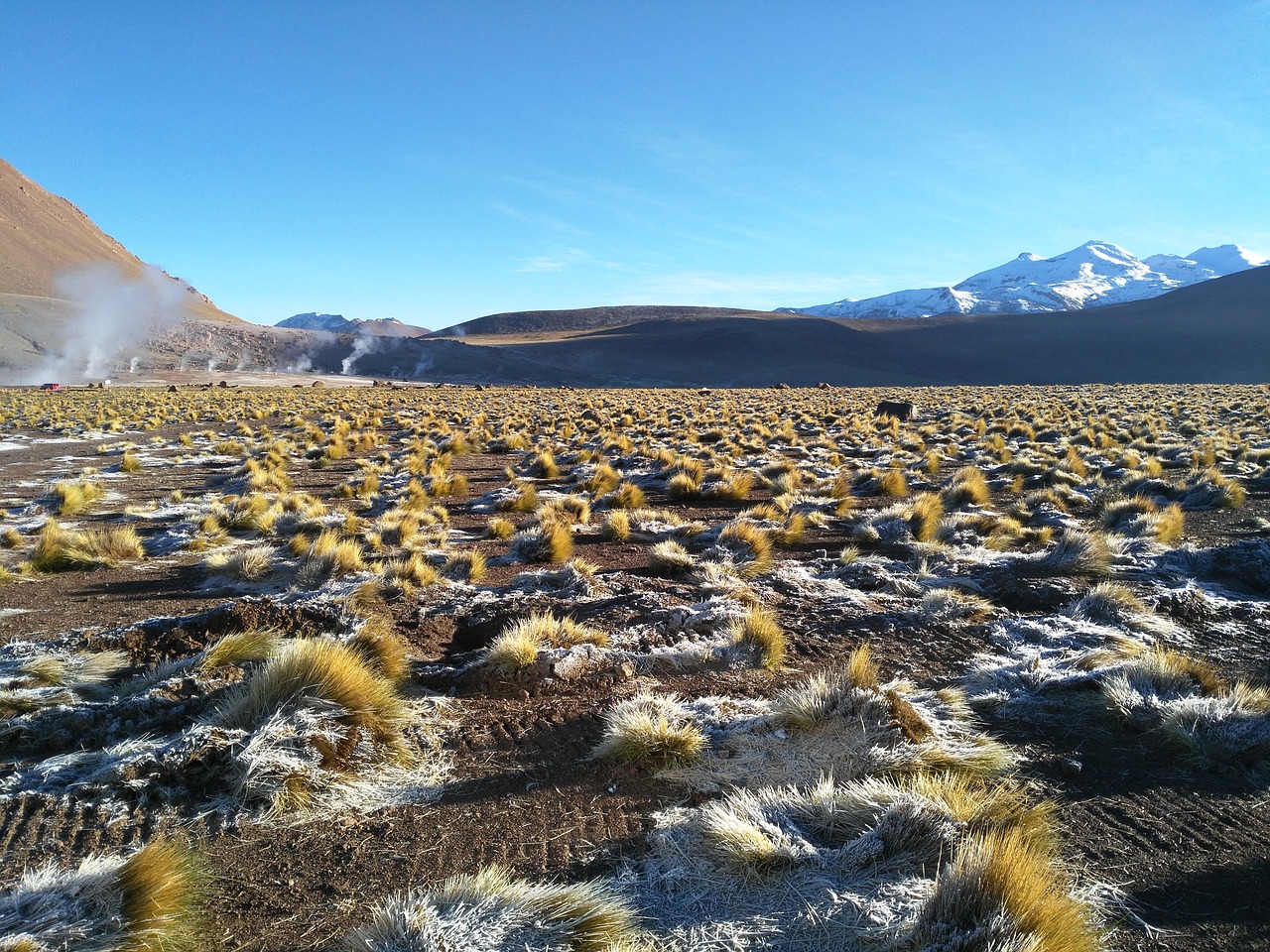 highlands chile grass free photo