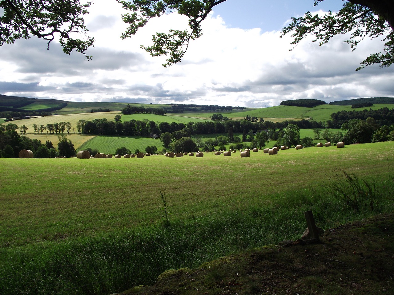 highlands games scotland free photo