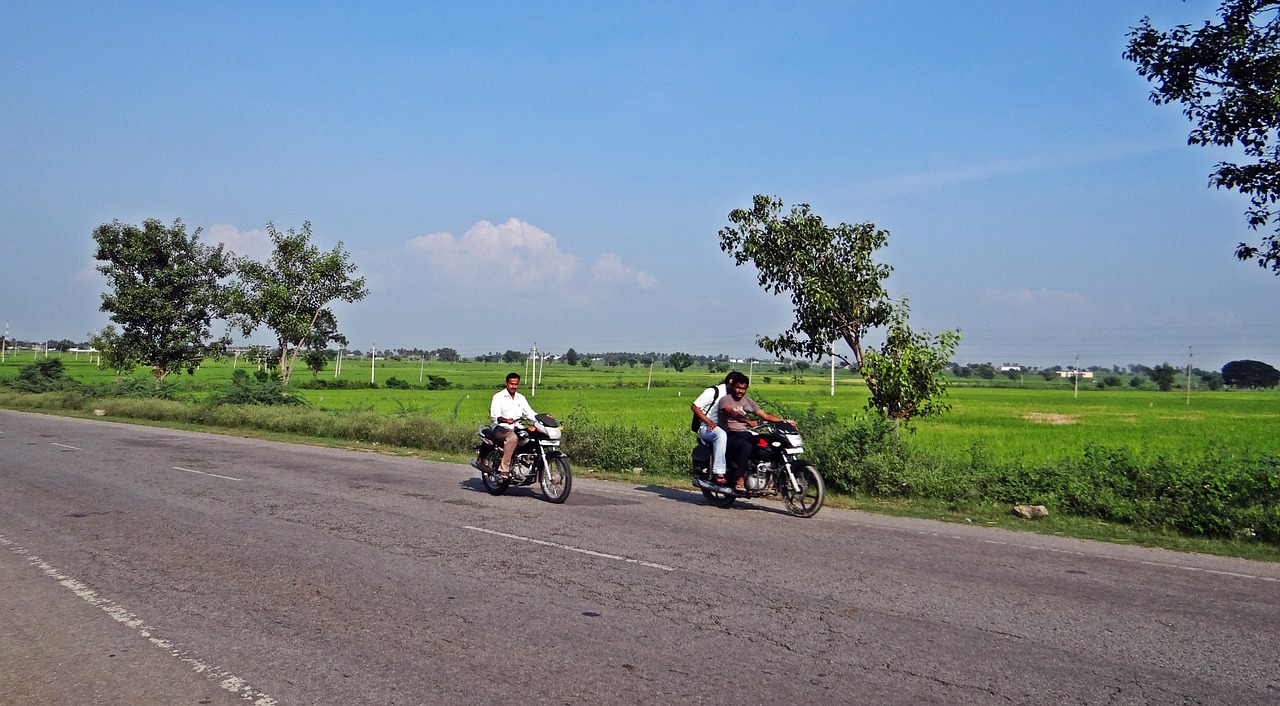 highway paddy field bike rider free photo