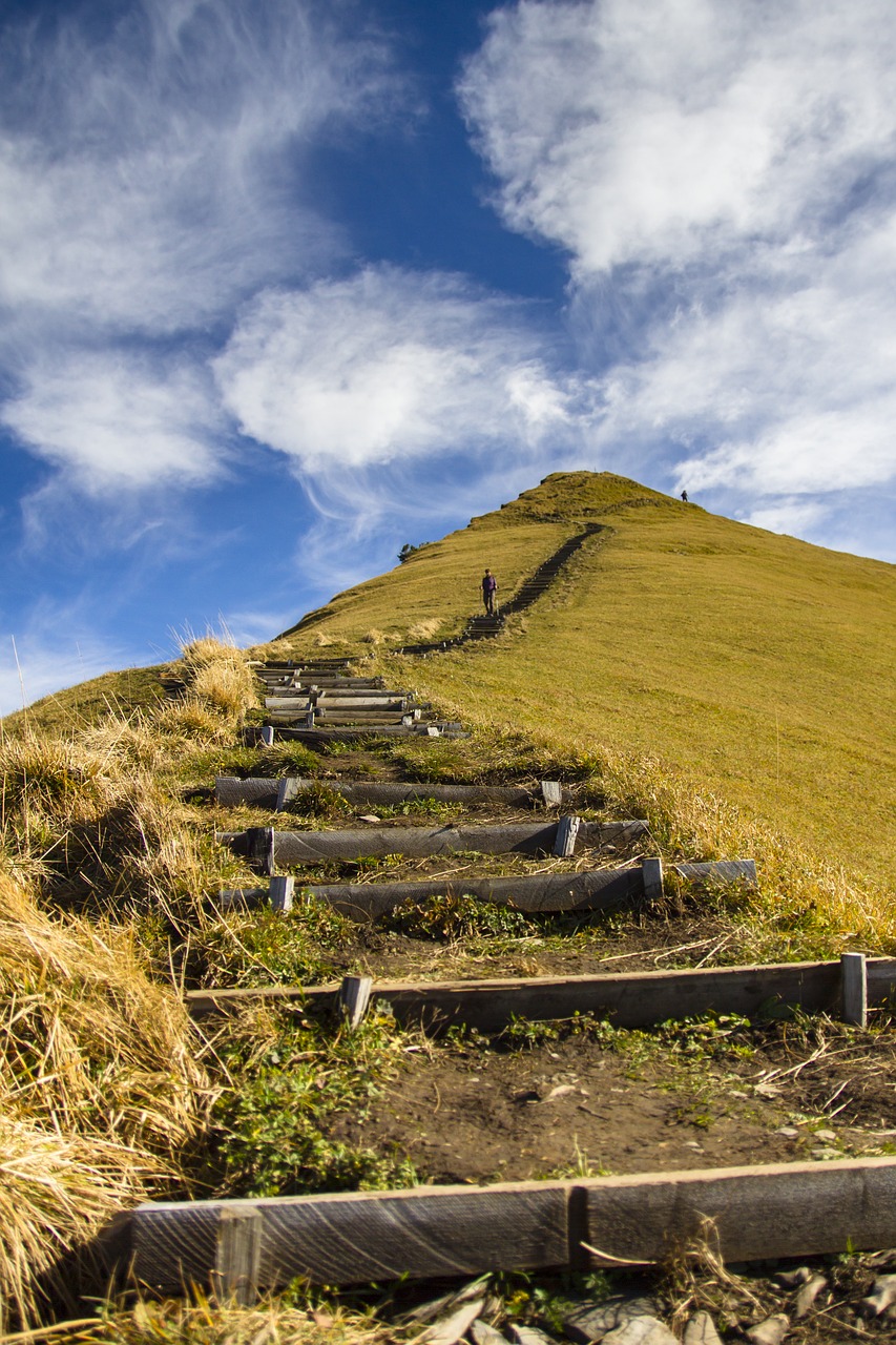 hike trail stairs free photo