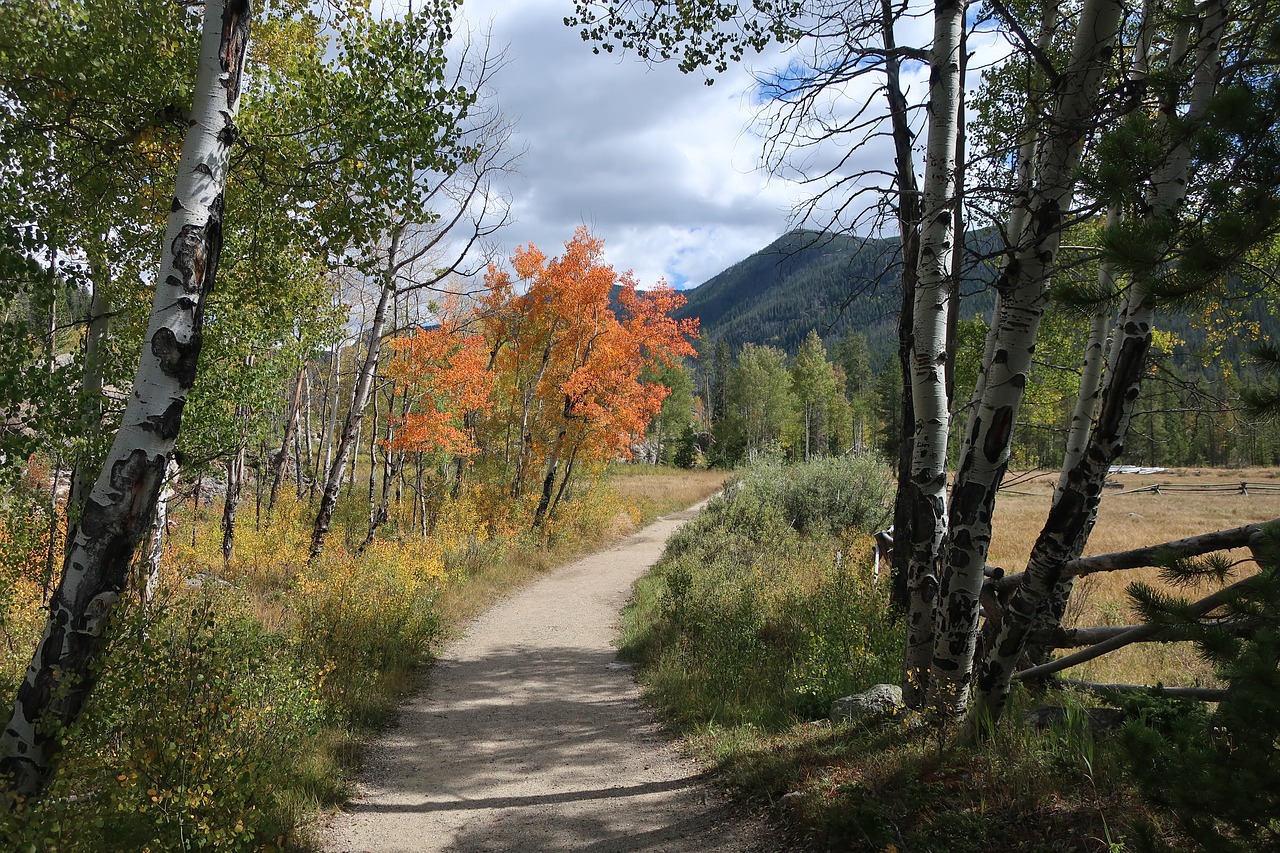 hike autumn forest free photo