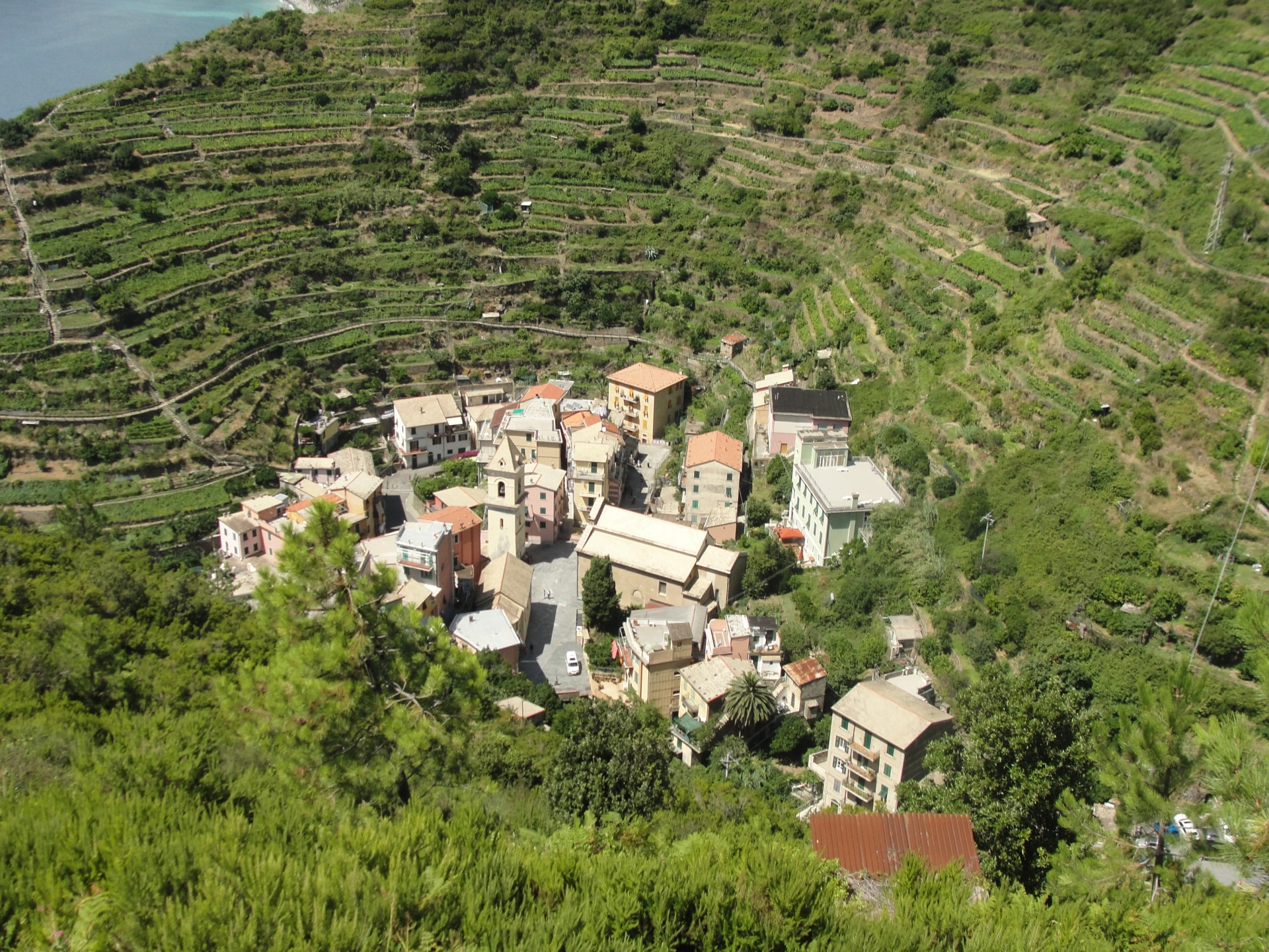 manarola italy cinque terre free photo