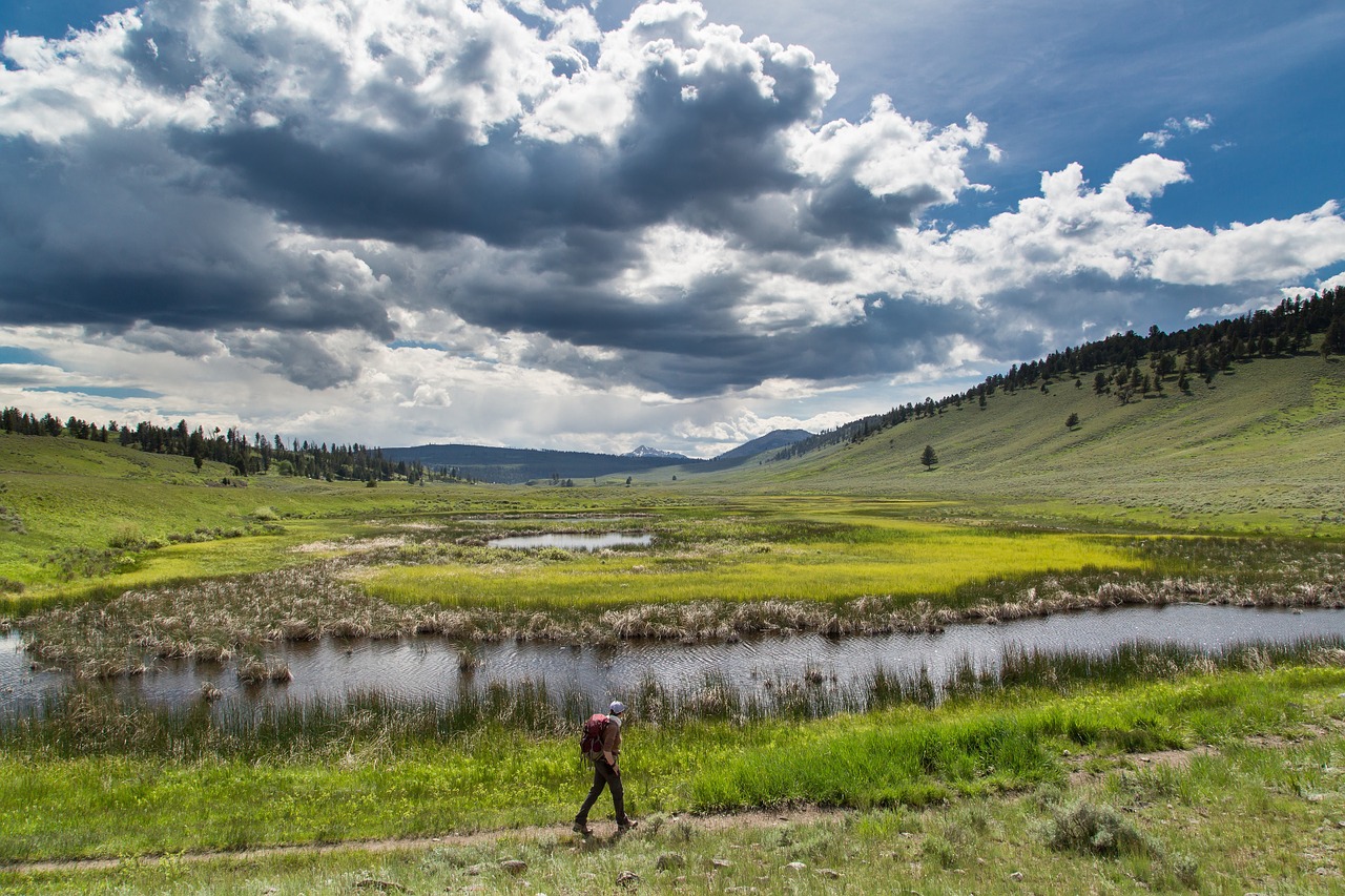 hiker walking hiking free photo