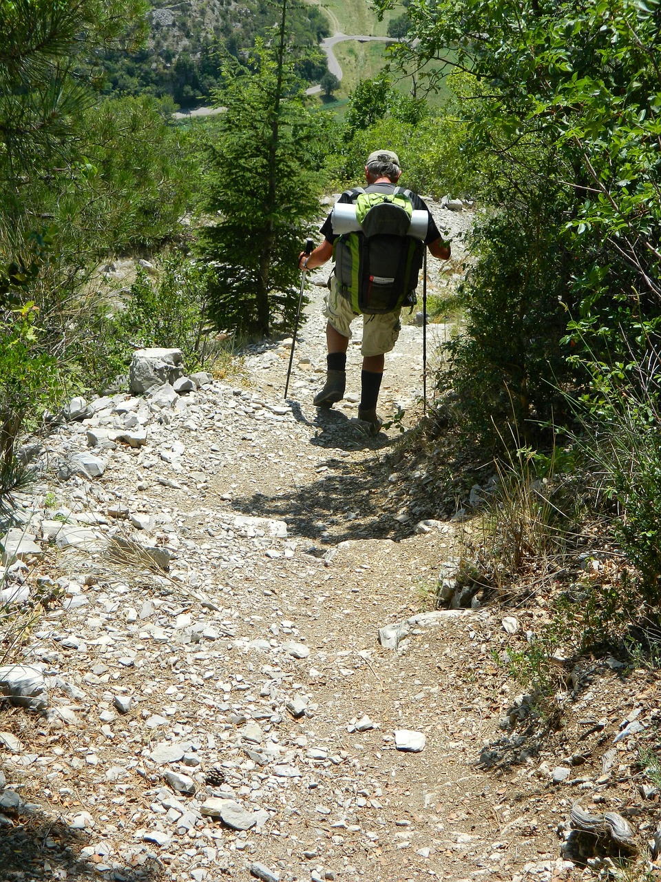hiker path hiking free photo