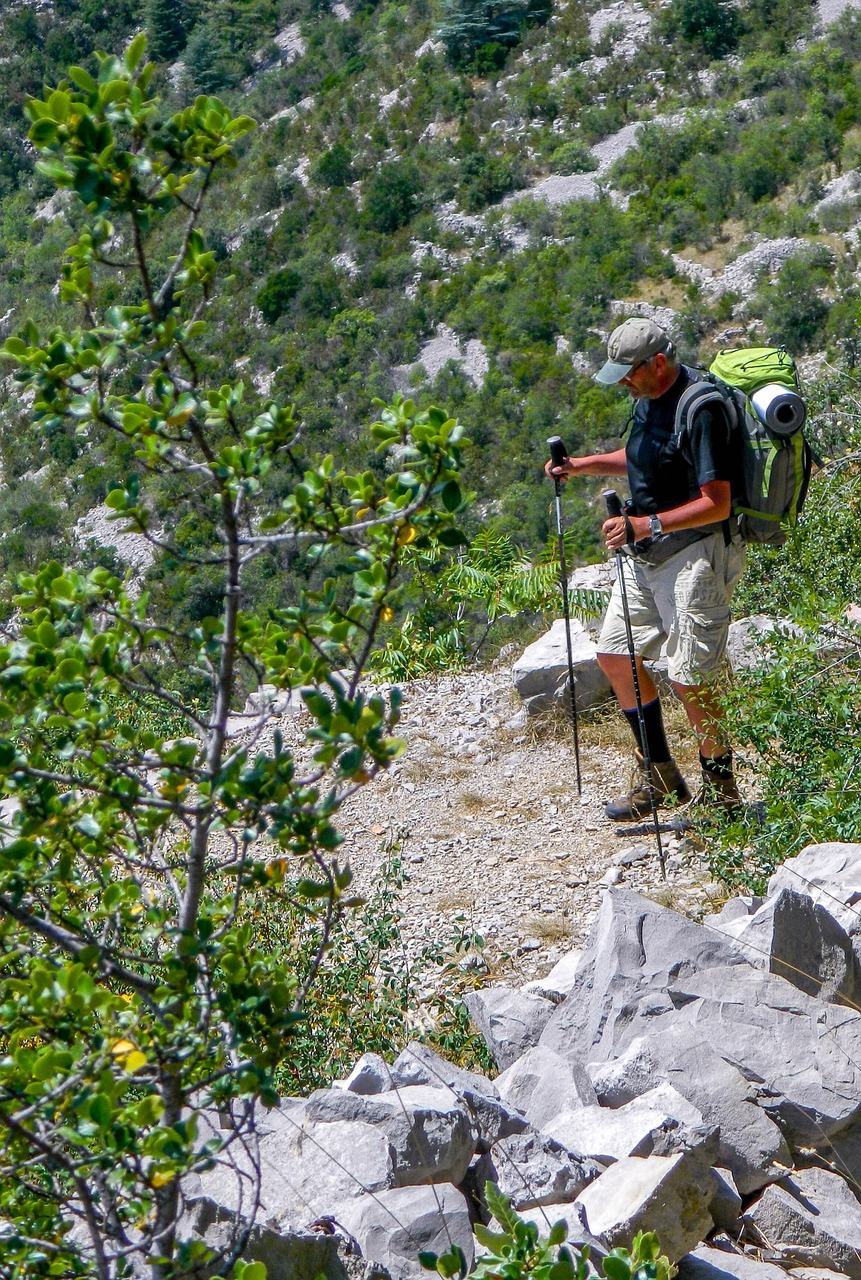 hiker path hiking free photo