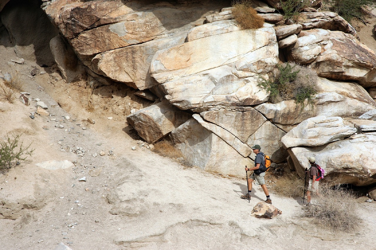 hikers mountain hiking free photo