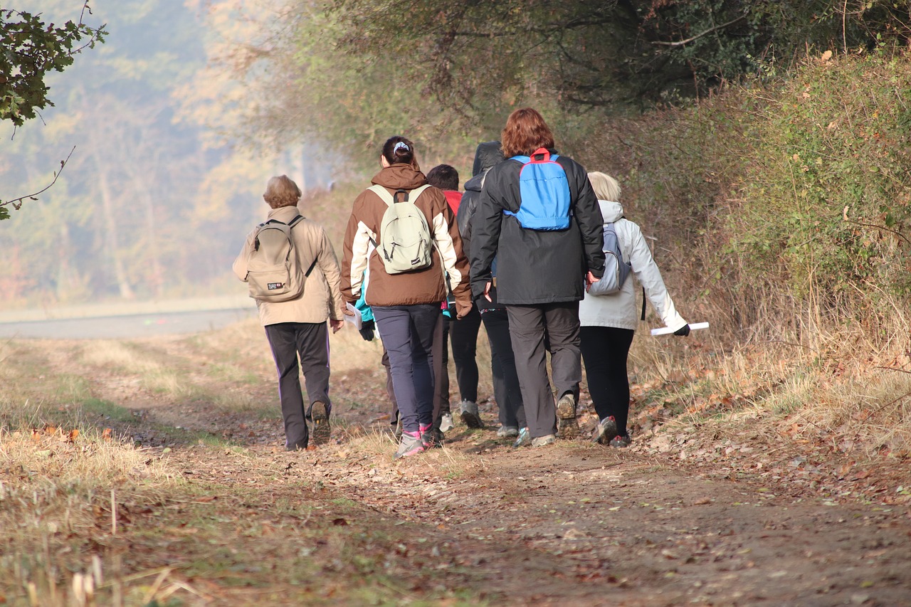 hikers  field  trails free photo