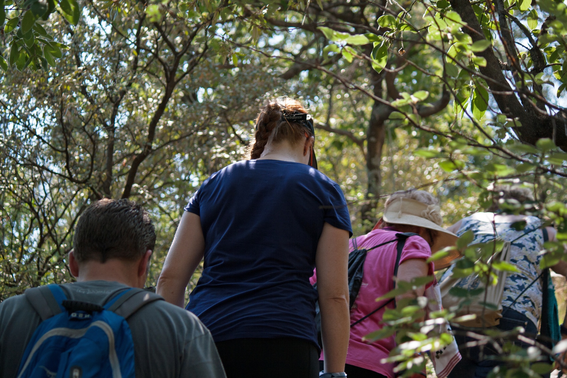 people hiking trail free photo