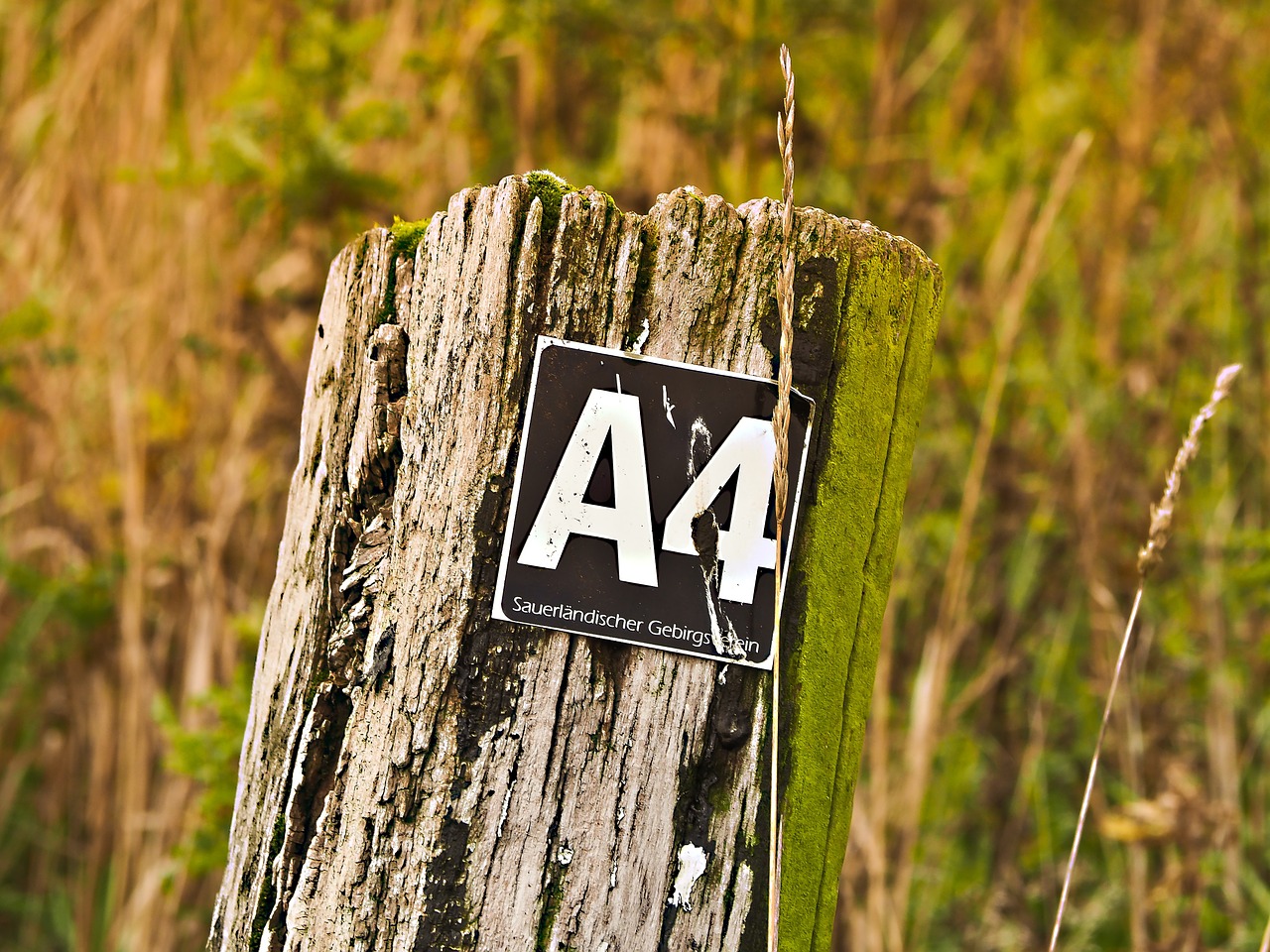 hiking trail landscape free photo