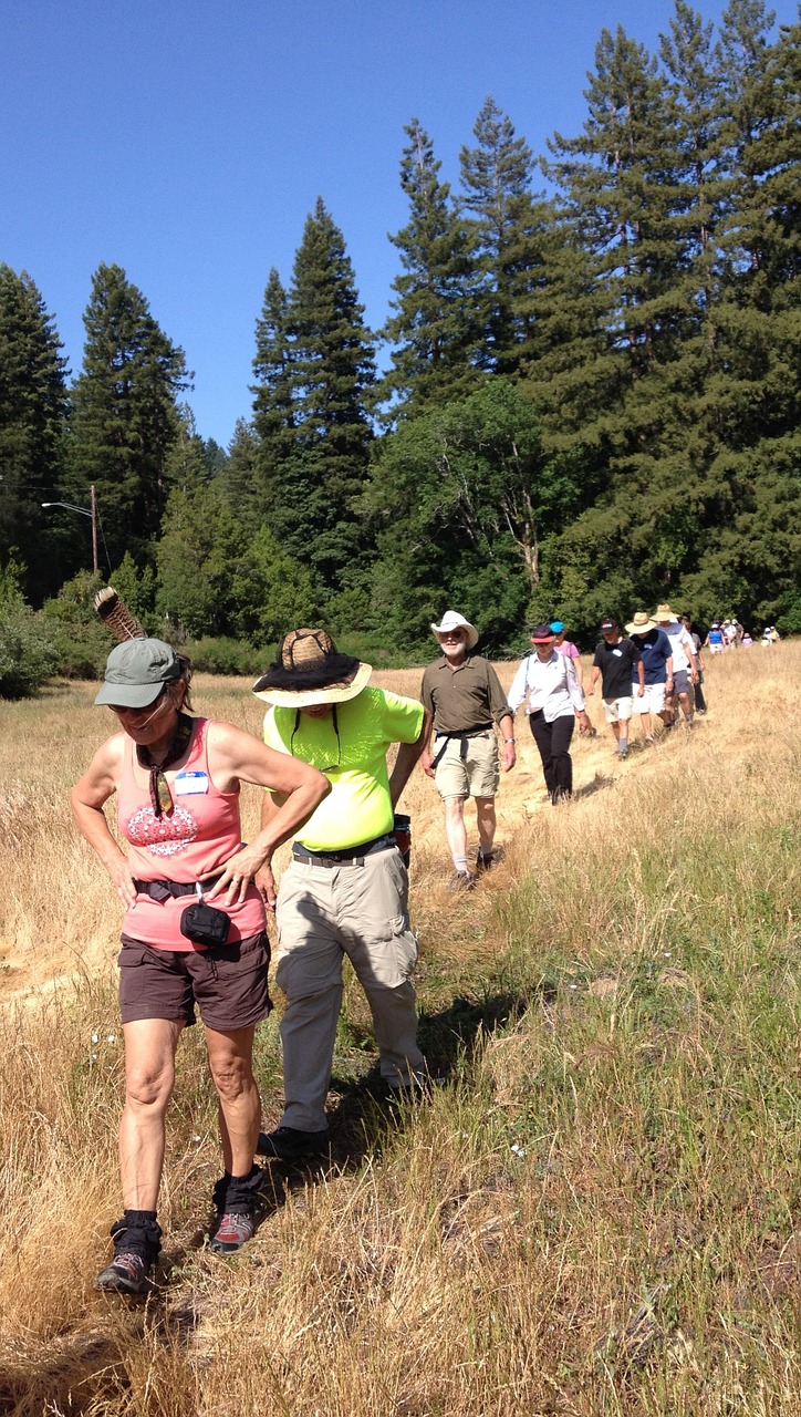 hiking california summer free photo