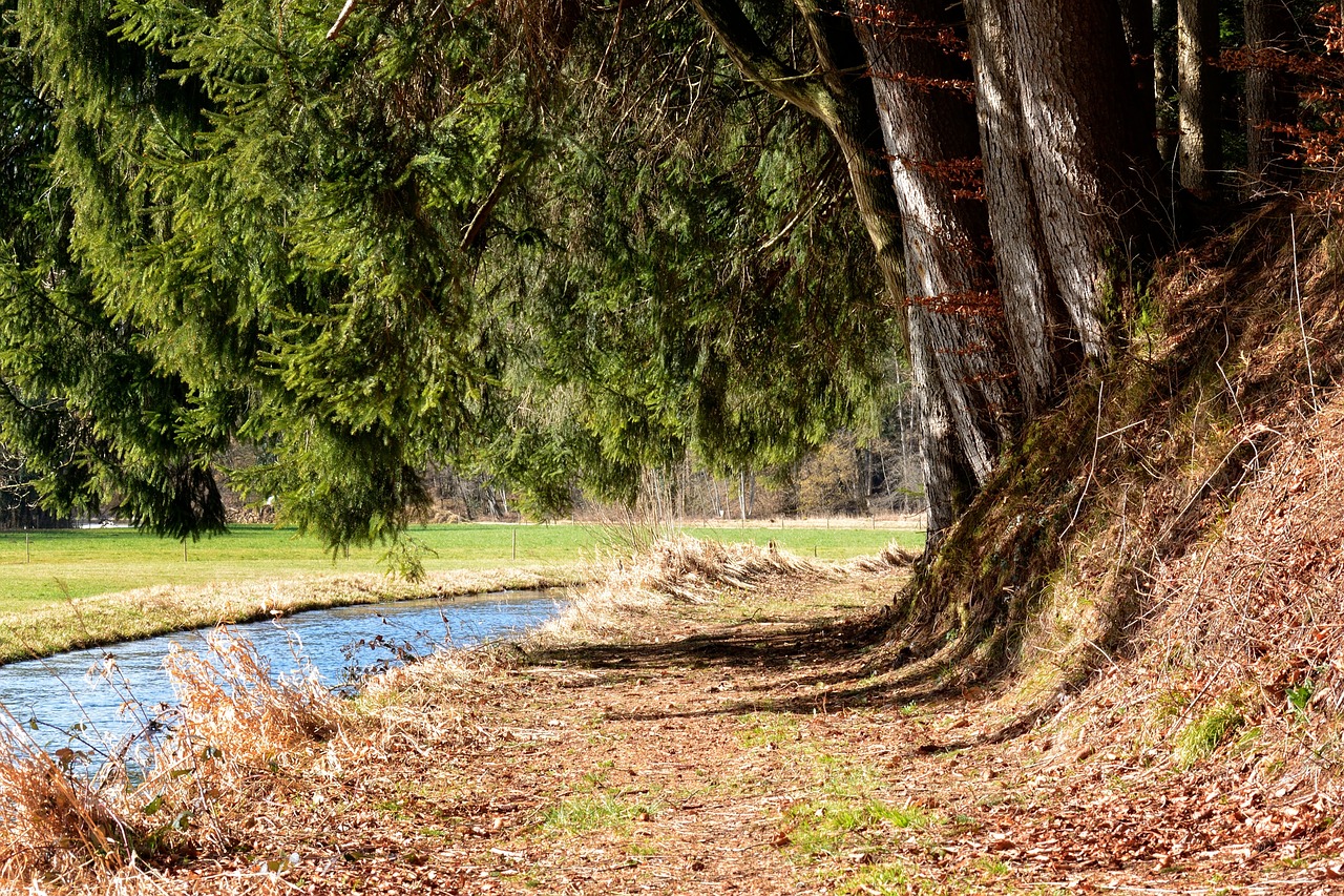 hiking nature away free photo