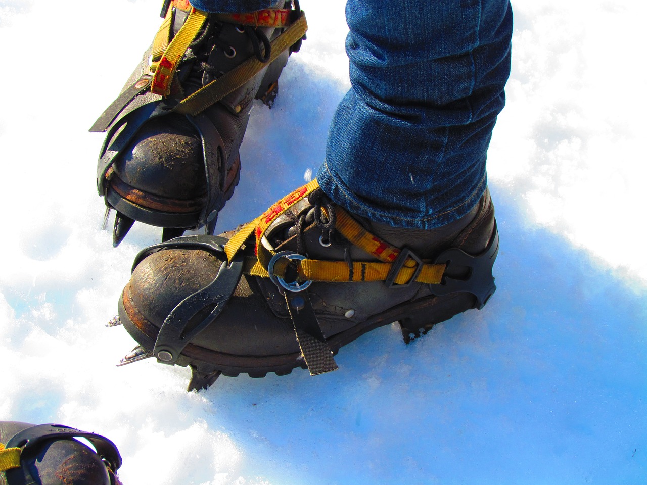 hiking shoes ice spikes free photo