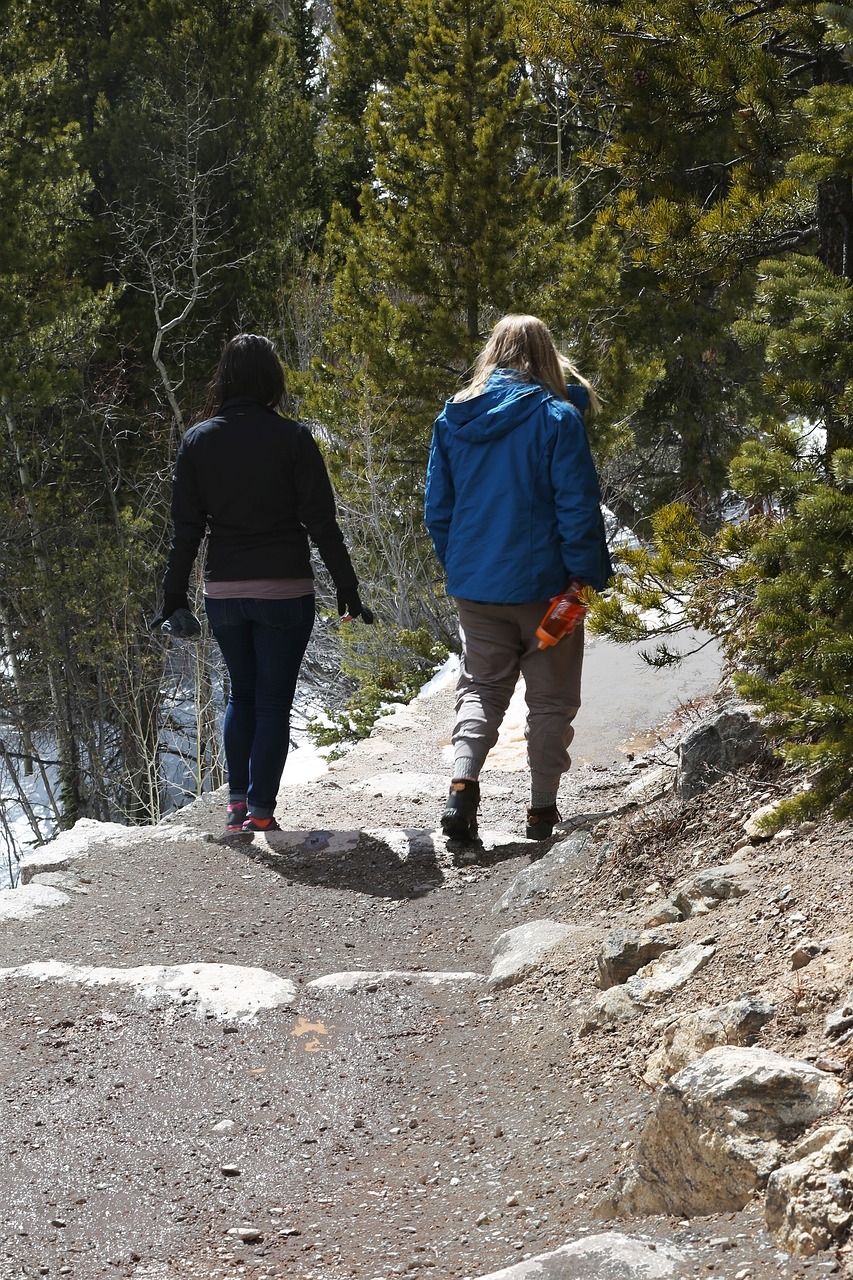 hiking tourists winter free photo