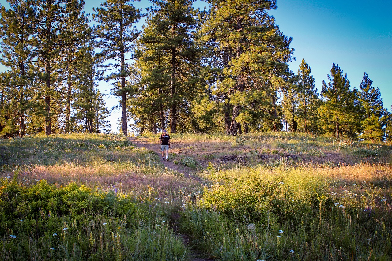 hiking quartzite mountain chewelah free photo