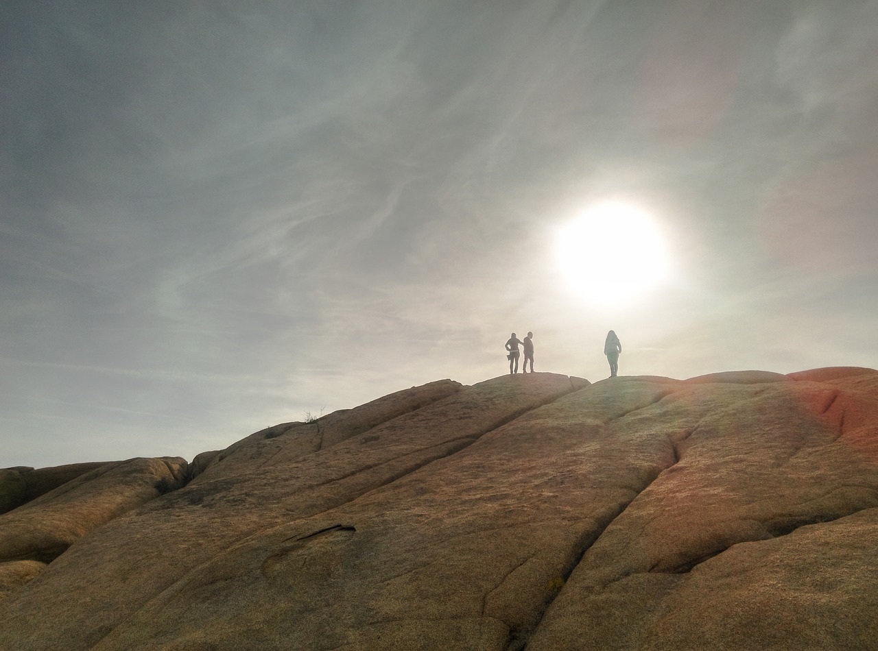 hiking joshua tree landscape free photo