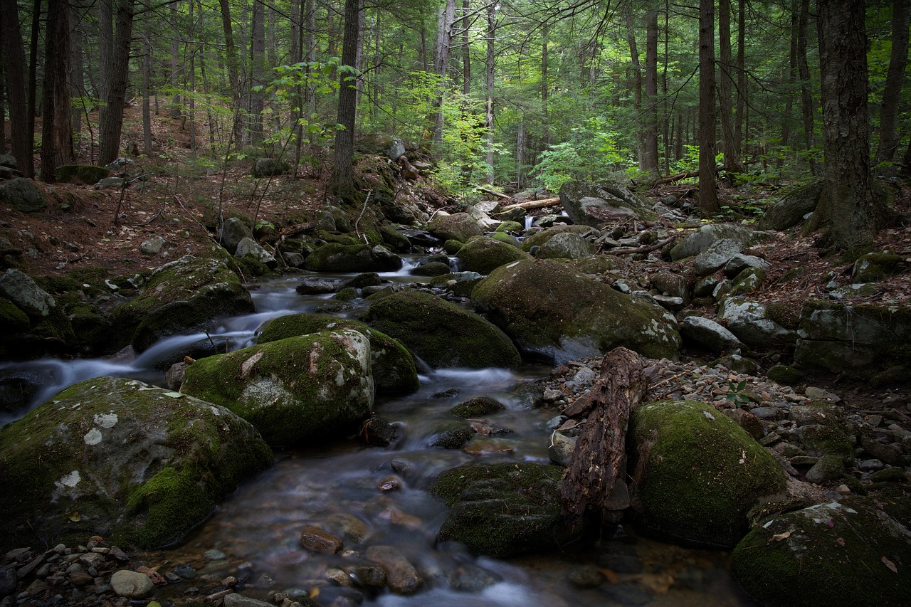 hiking landscape nature free photo