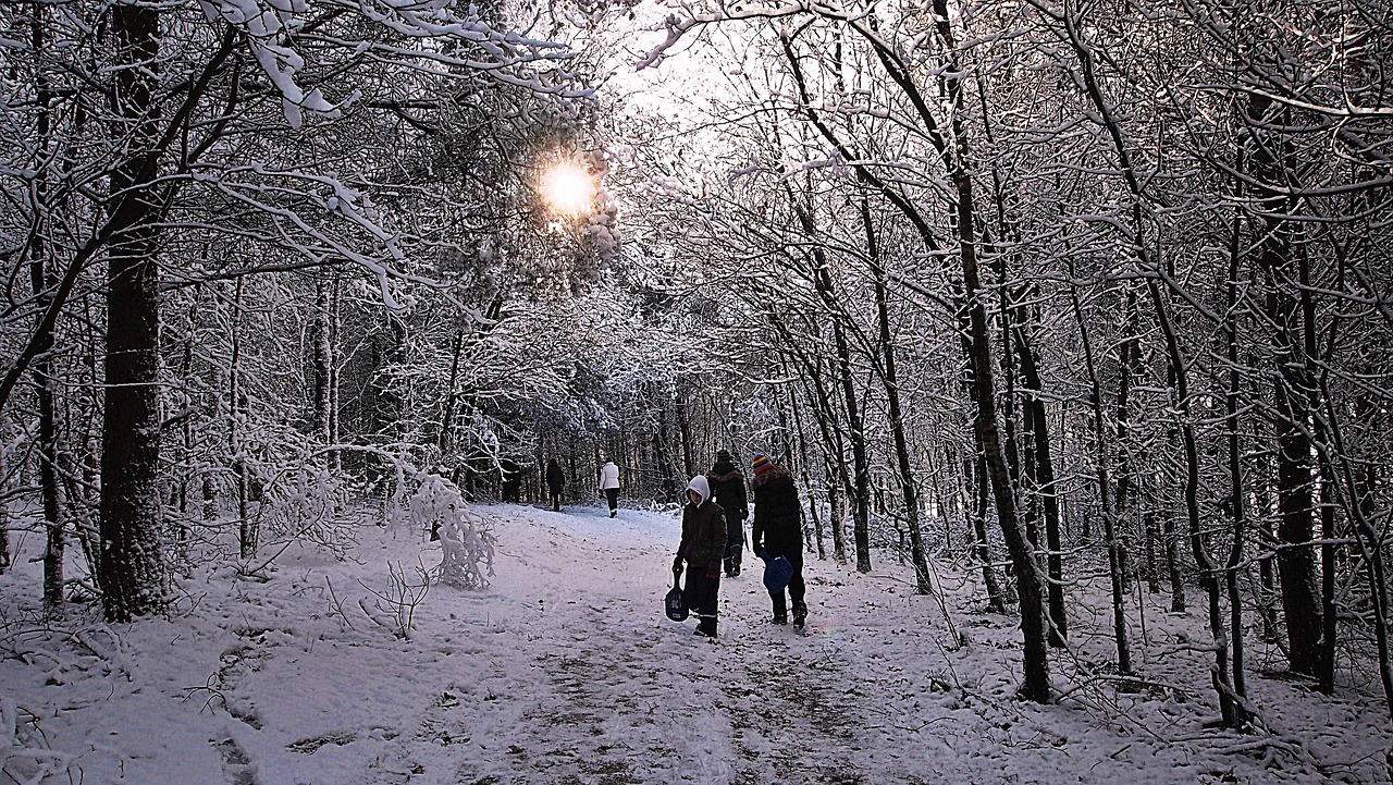 hiking children forest free photo