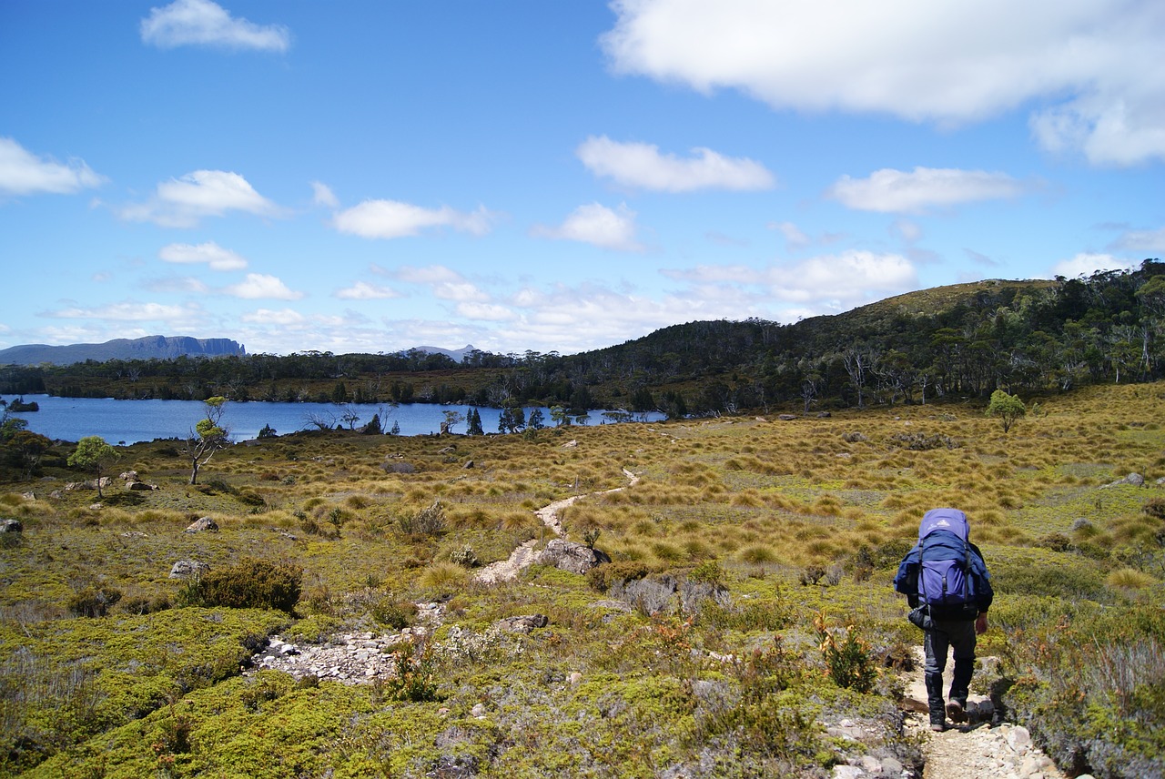 hiking overland track tasmania free photo