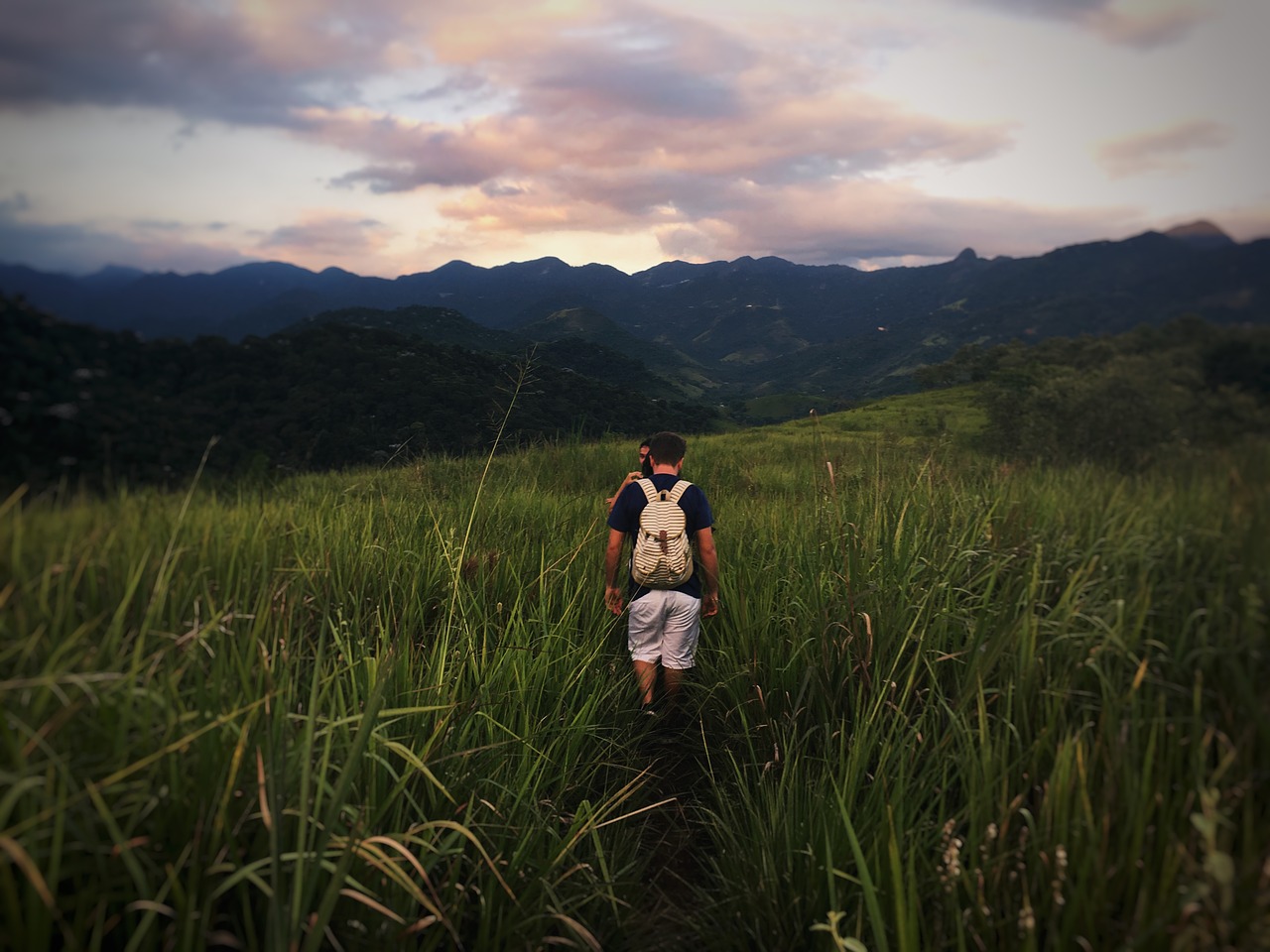 hiking wanderer outdoor free photo