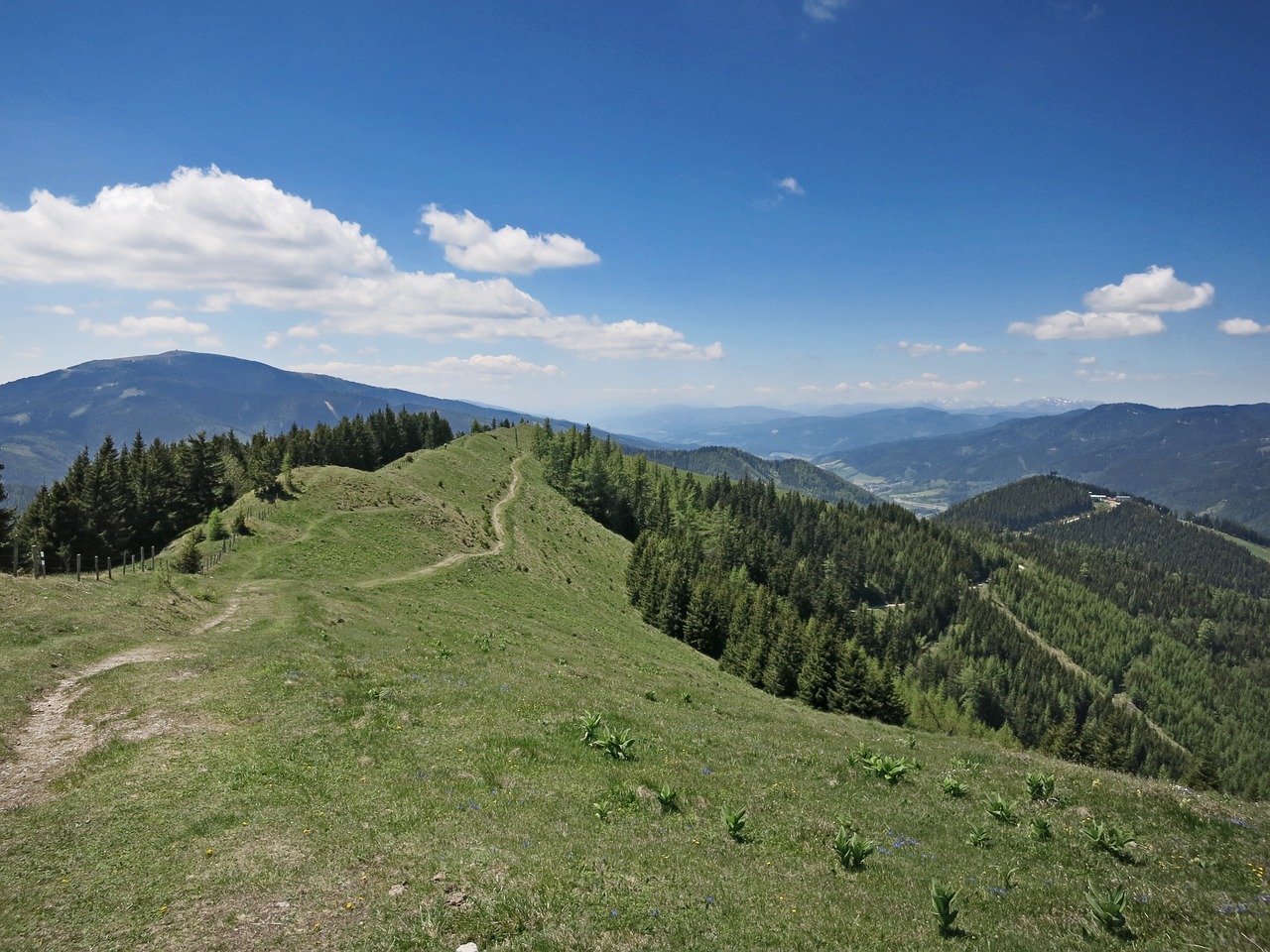 hiking trail ridge free photo