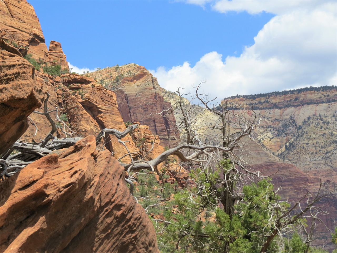 hiking utah scenic free photo