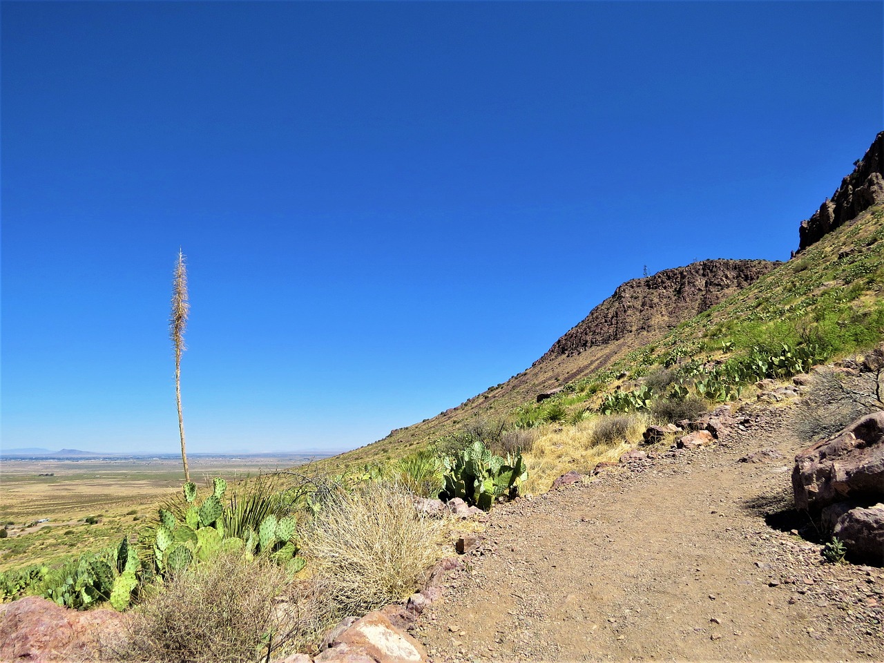 hiking new mexico desert free photo