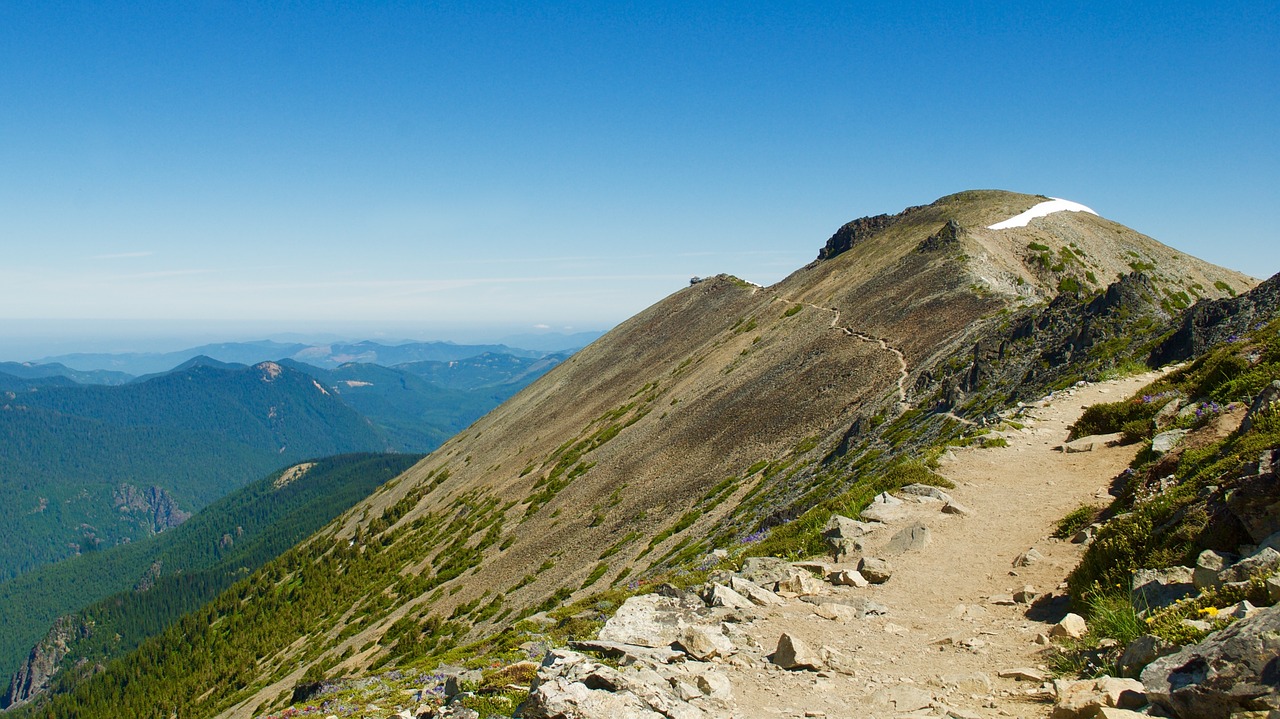 hiking peak lookout free photo