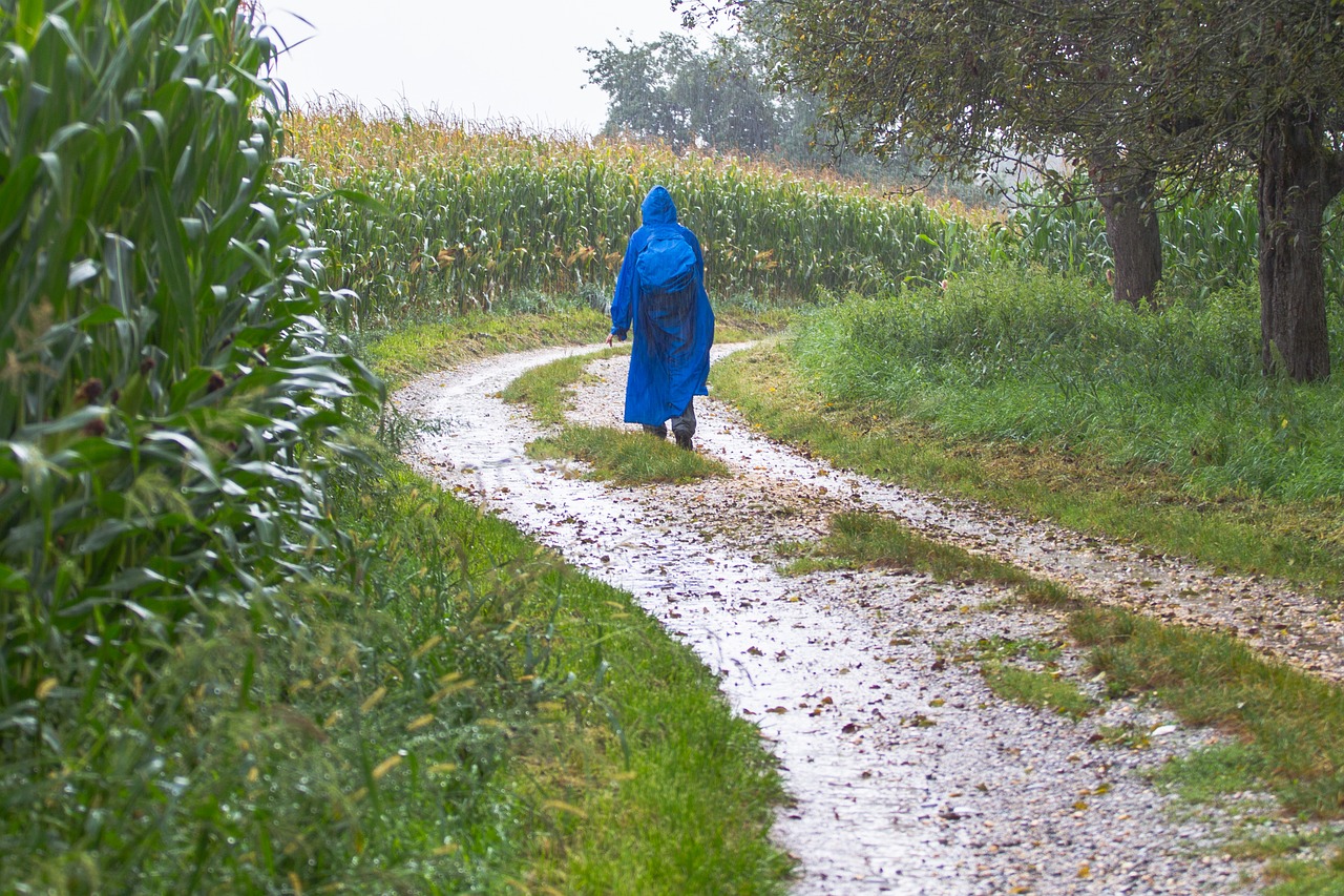 Download free photo of Hiking,hike,rainy day,rain hike,rain - from ...