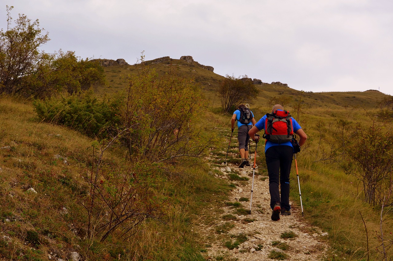 hiking trail walk free photo