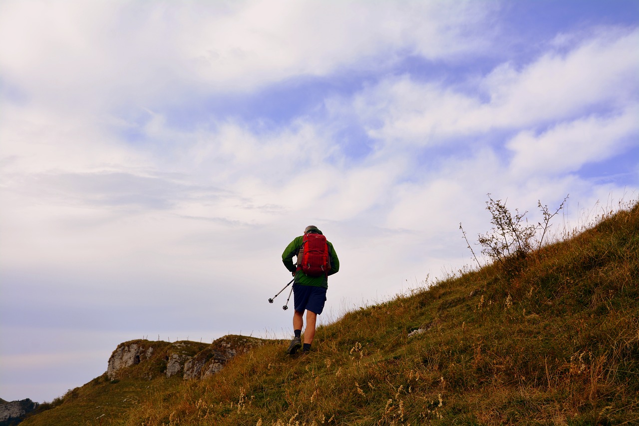 hiking trail walk free photo