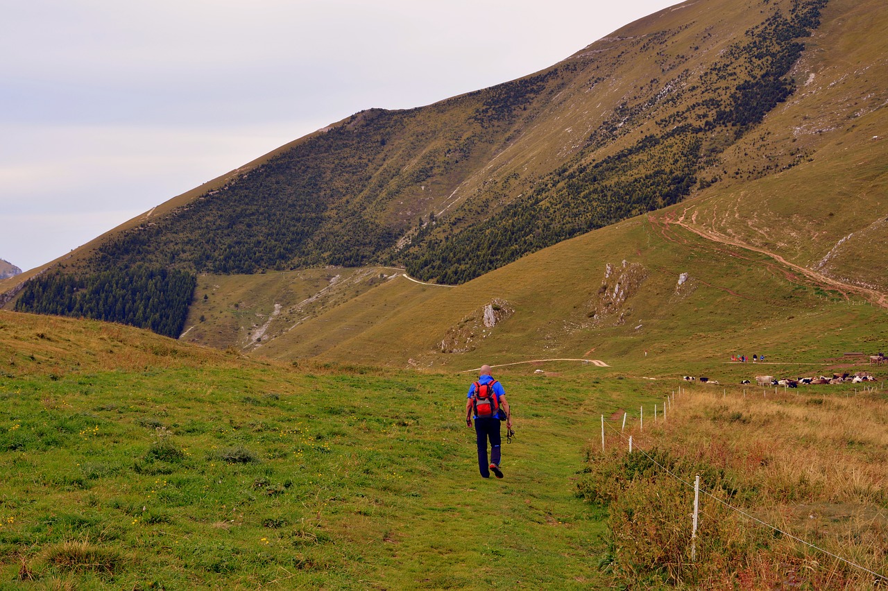 hiking trail walk free photo