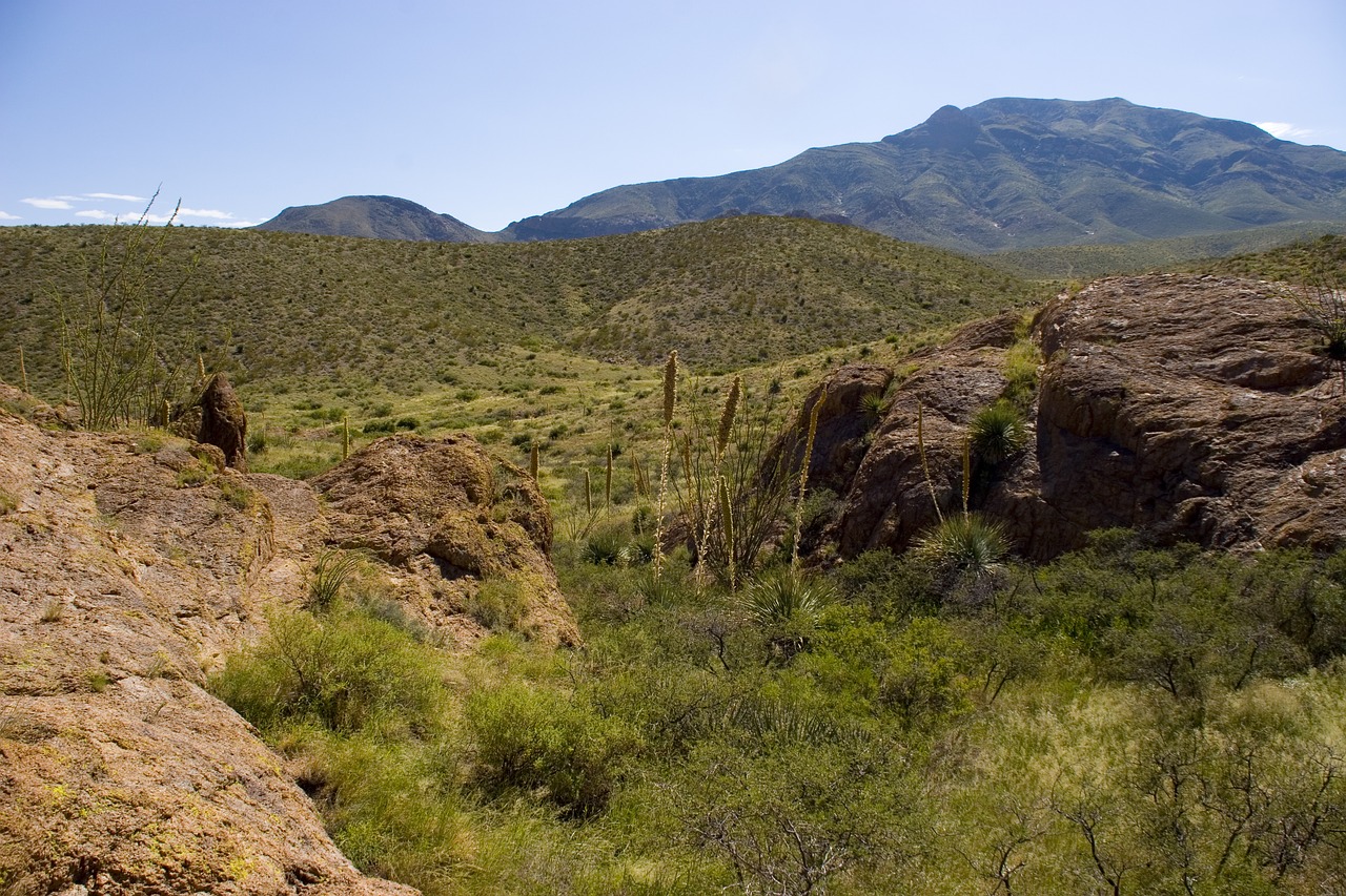 hiking hike mountain free photo