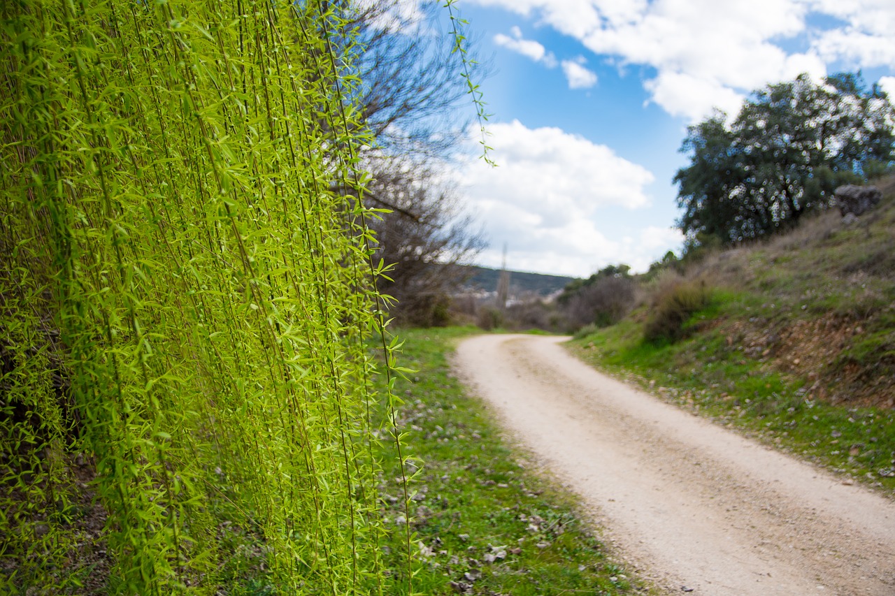 hiking nature spain free photo