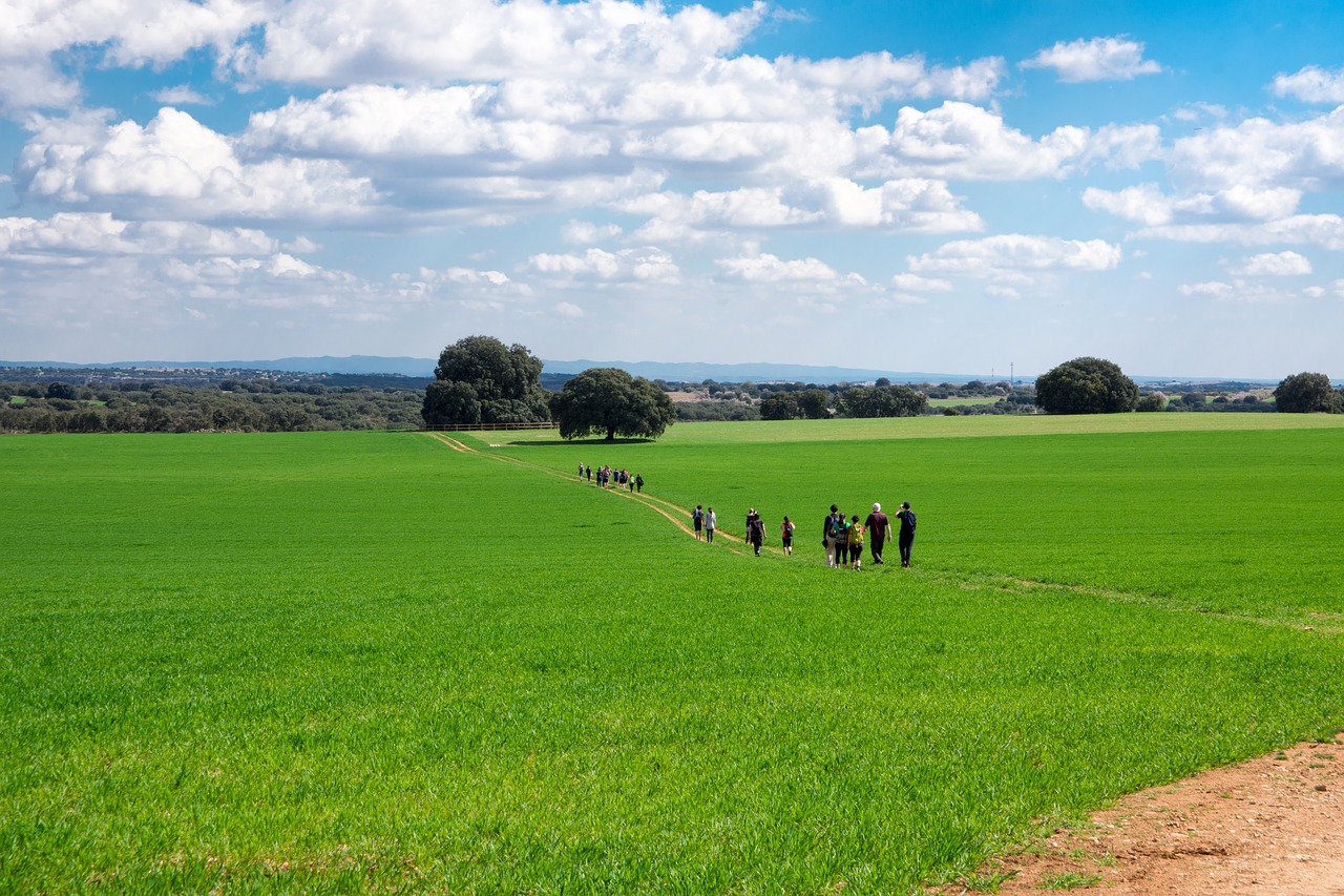 hiking nature madrid free photo