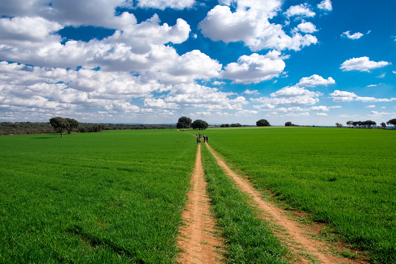 hiking nature madrid free photo