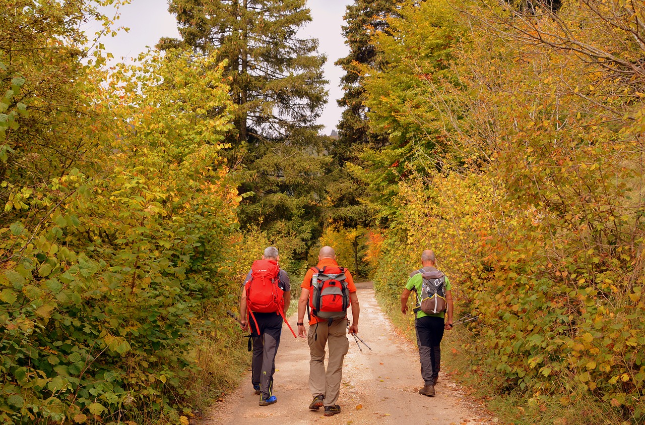 hiking walk autumn free photo