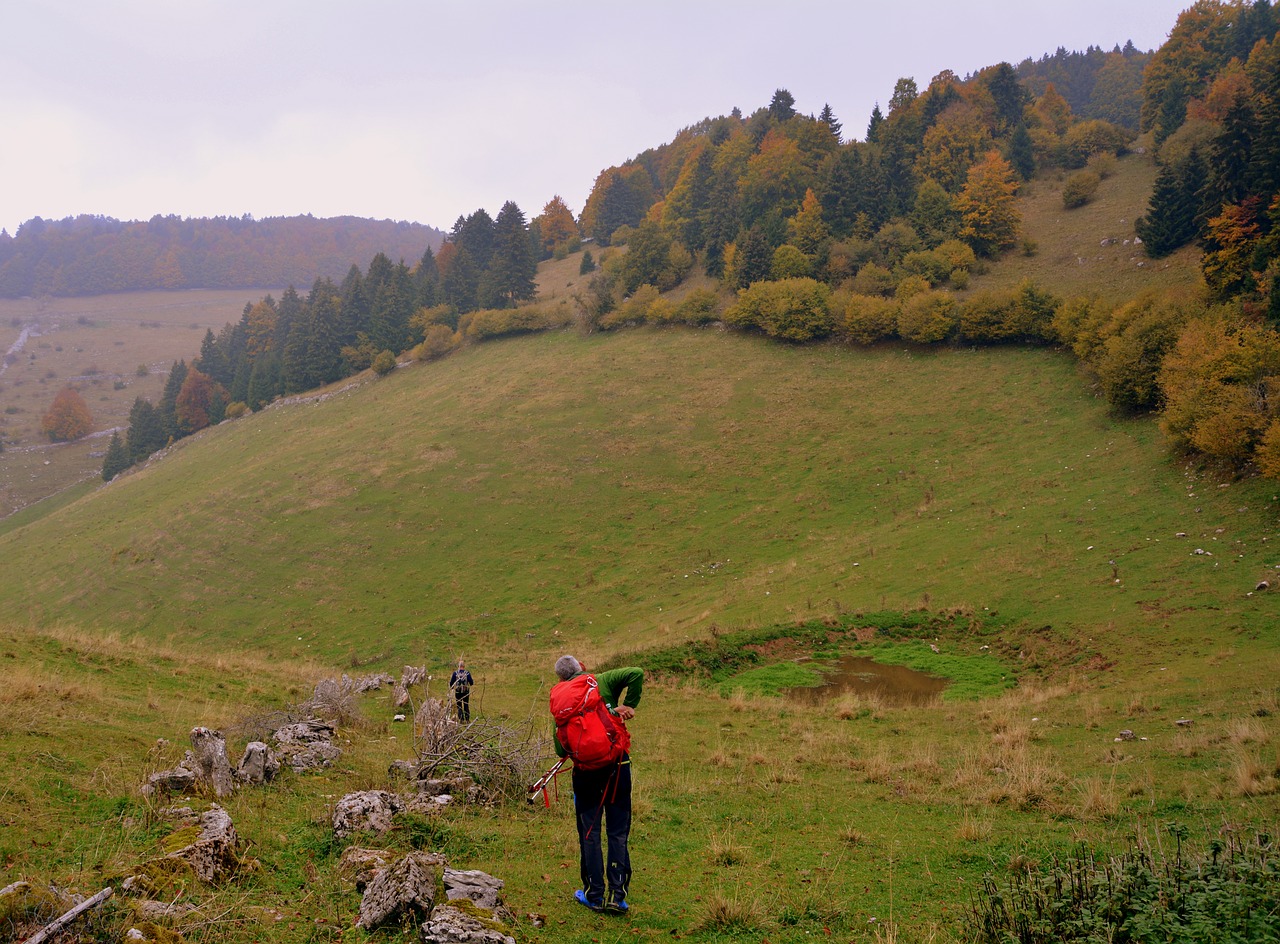 hiking walk autumn free photo