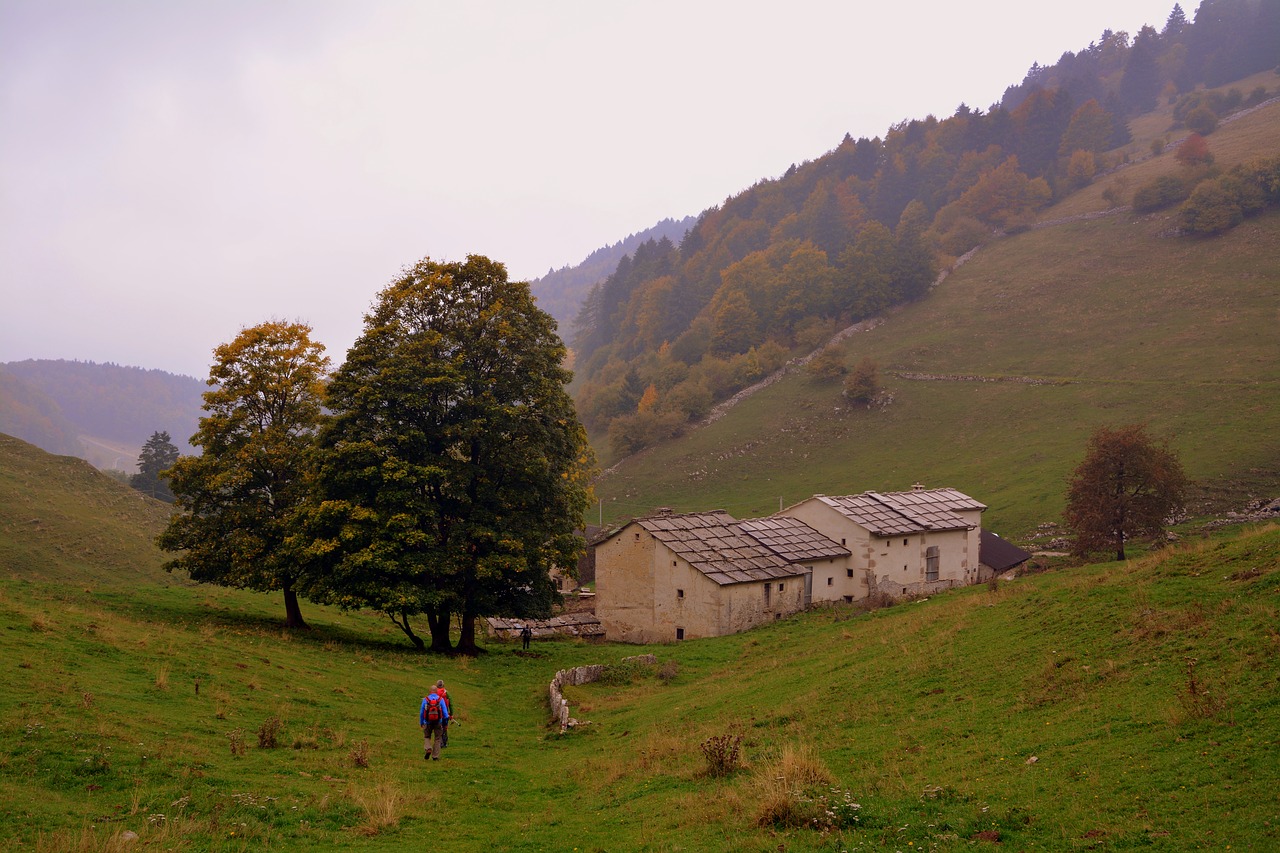 hiking walk autumn free photo