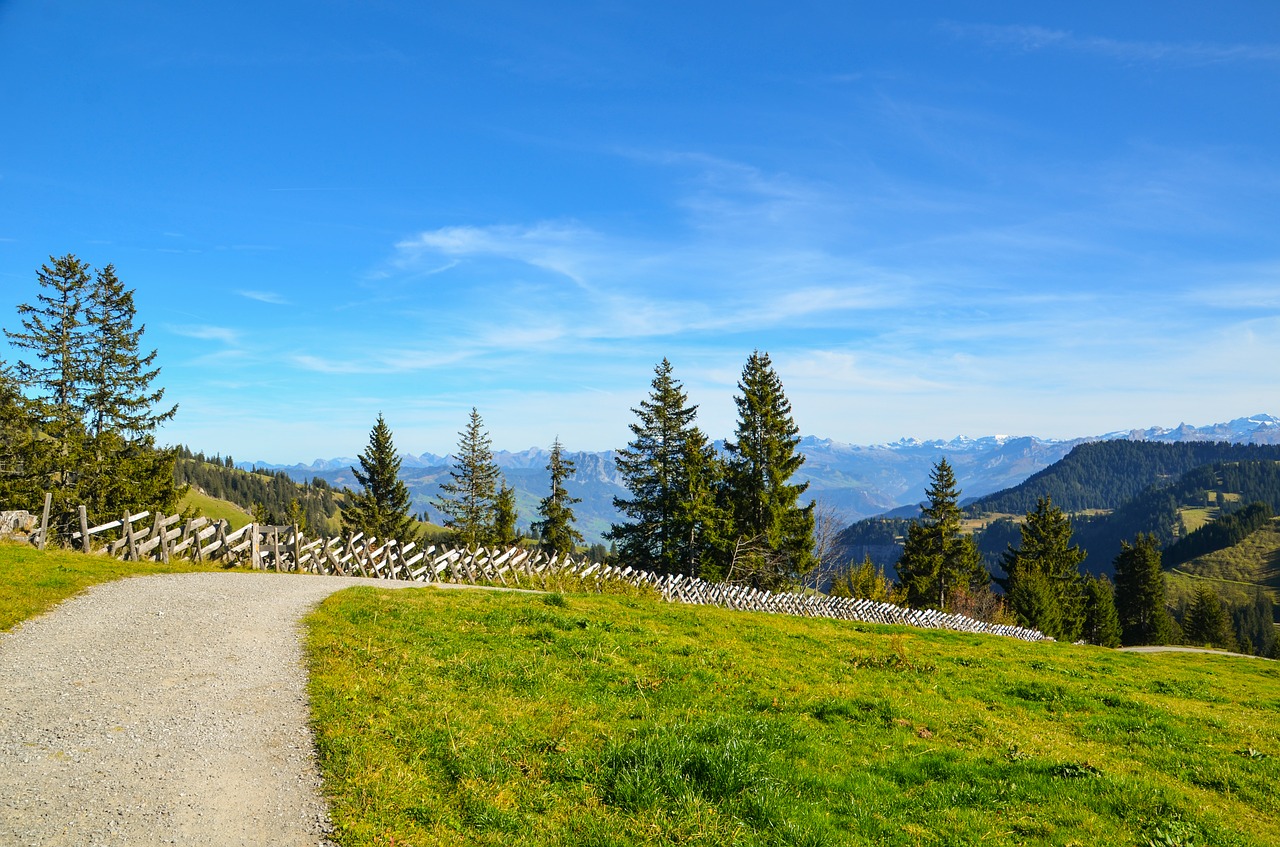 hiking trail distant view free photo