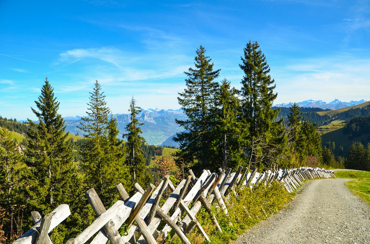 hiking trail distant view free photo